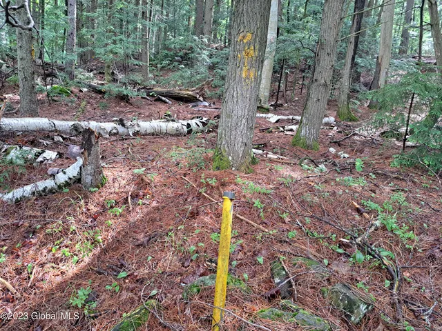 $699,900 | 13.2 Friends Lake Road, Chestertown, NY 12817