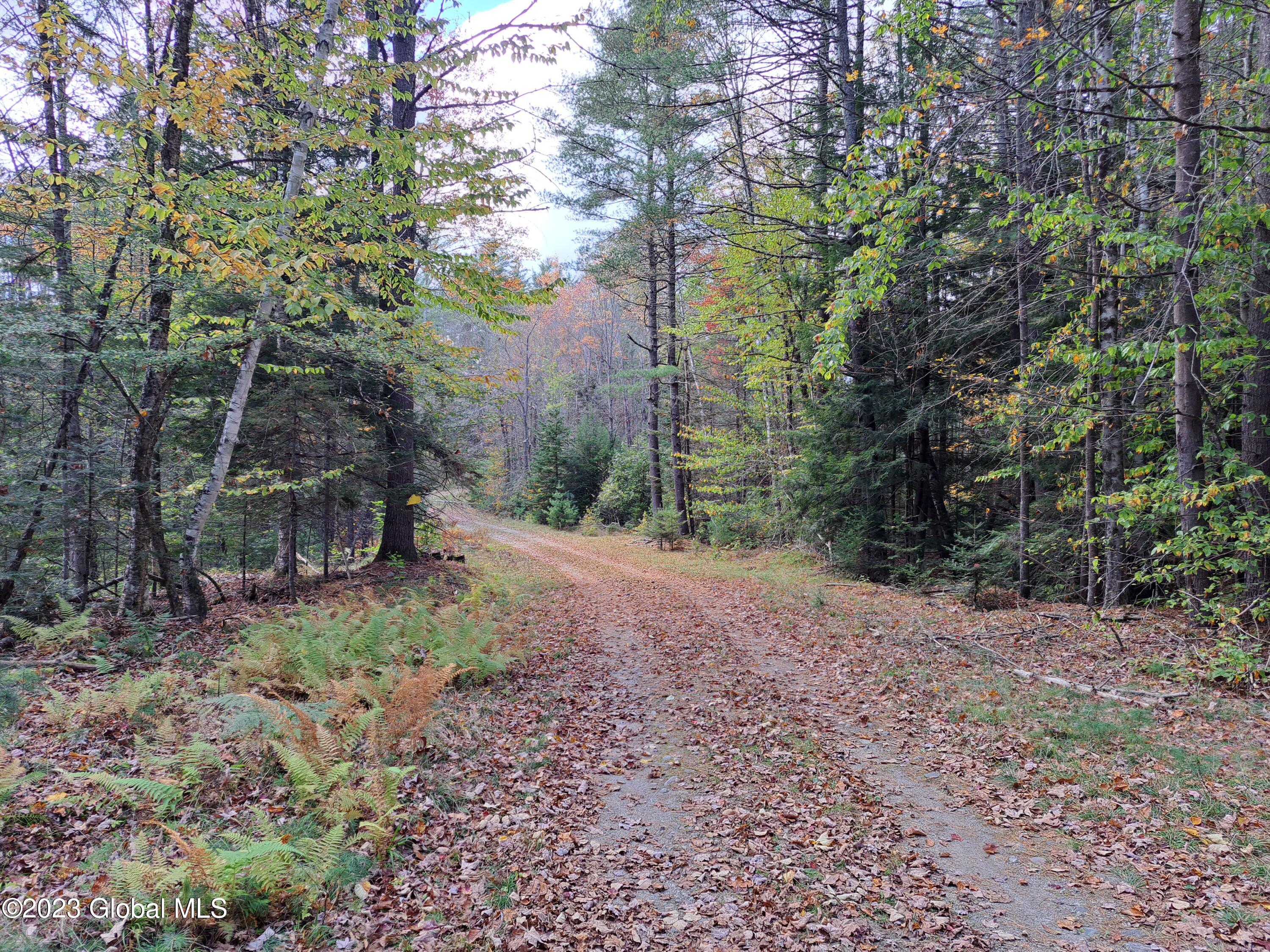 13.2 Friends Lake Road Chestertown, NY 12817 - Photo 19 of 78 18 Access Road from Friends Lake Road