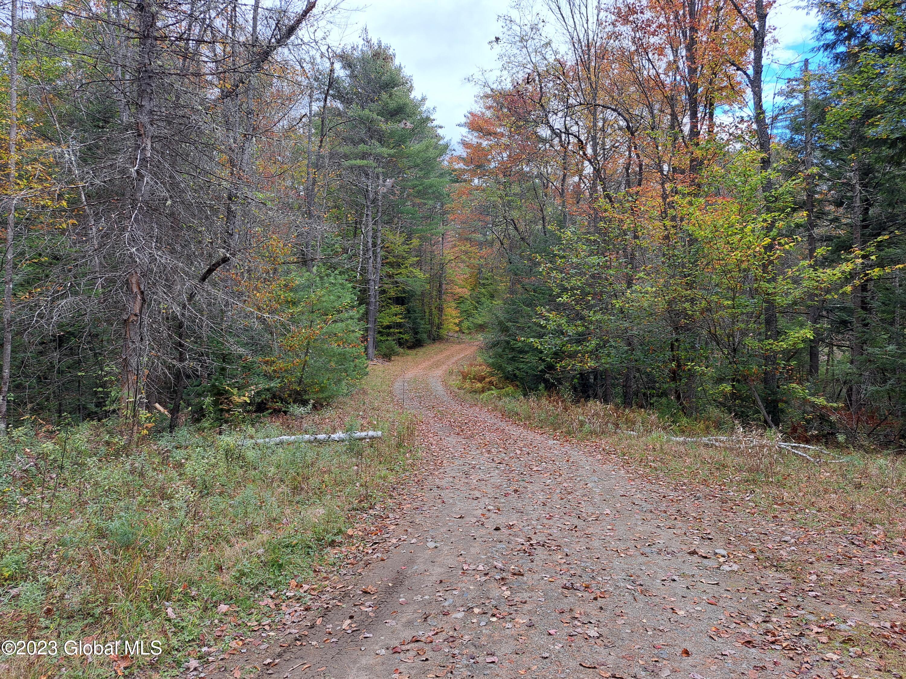 13.2 Friends Lake Road Chestertown, NY 12817 - Photo 20 of 78 19 Access Road