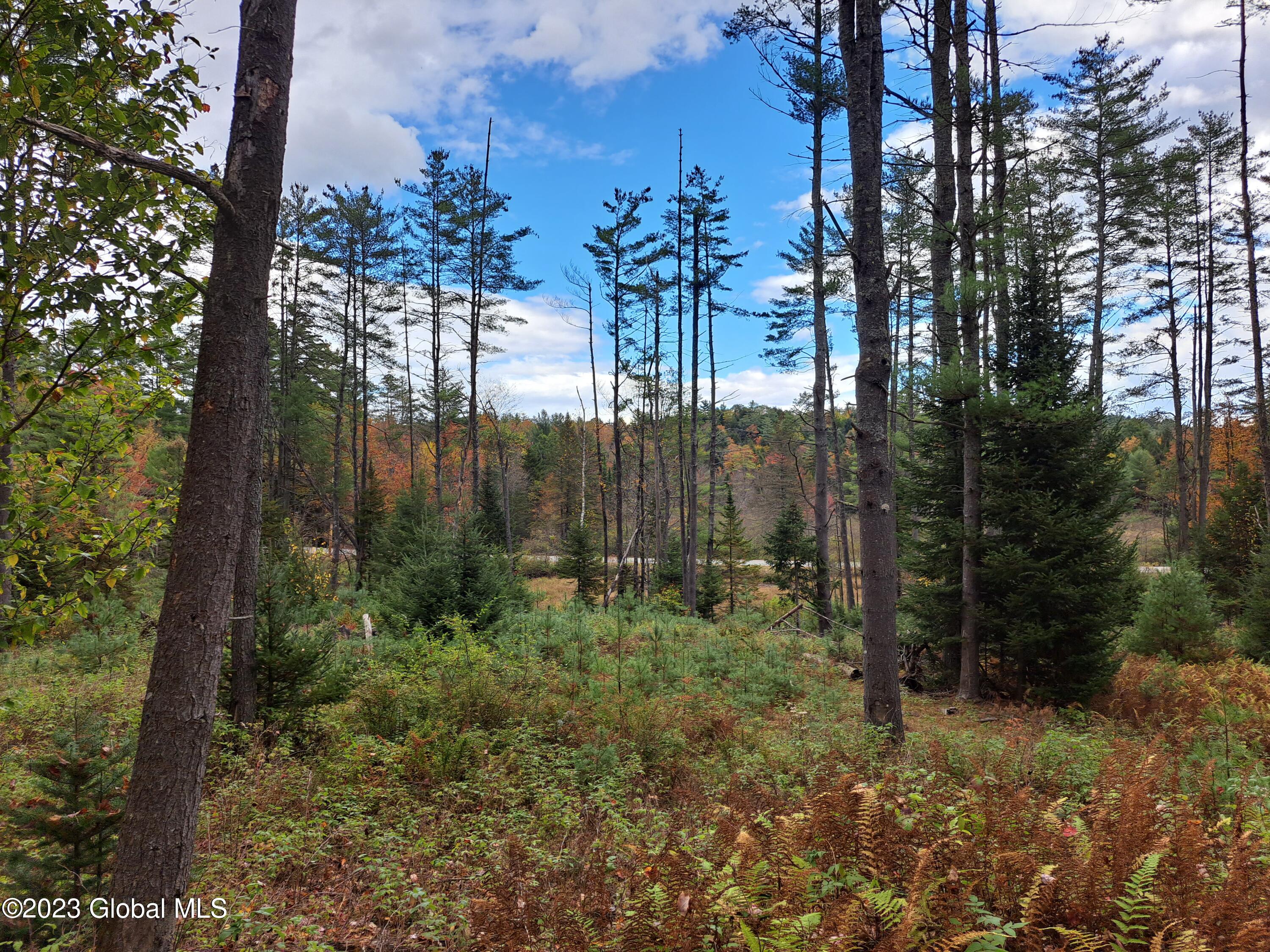 13.2 Friends Lake Road Chestertown, NY 12817 - Photo 21 of 78 20 Looking Across Friends Lake Road