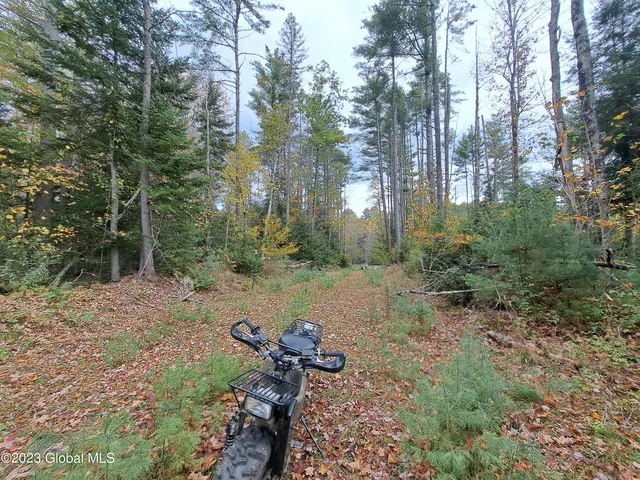 $699,900 | 13.2 Friends Lake Road, Chestertown, NY 12817