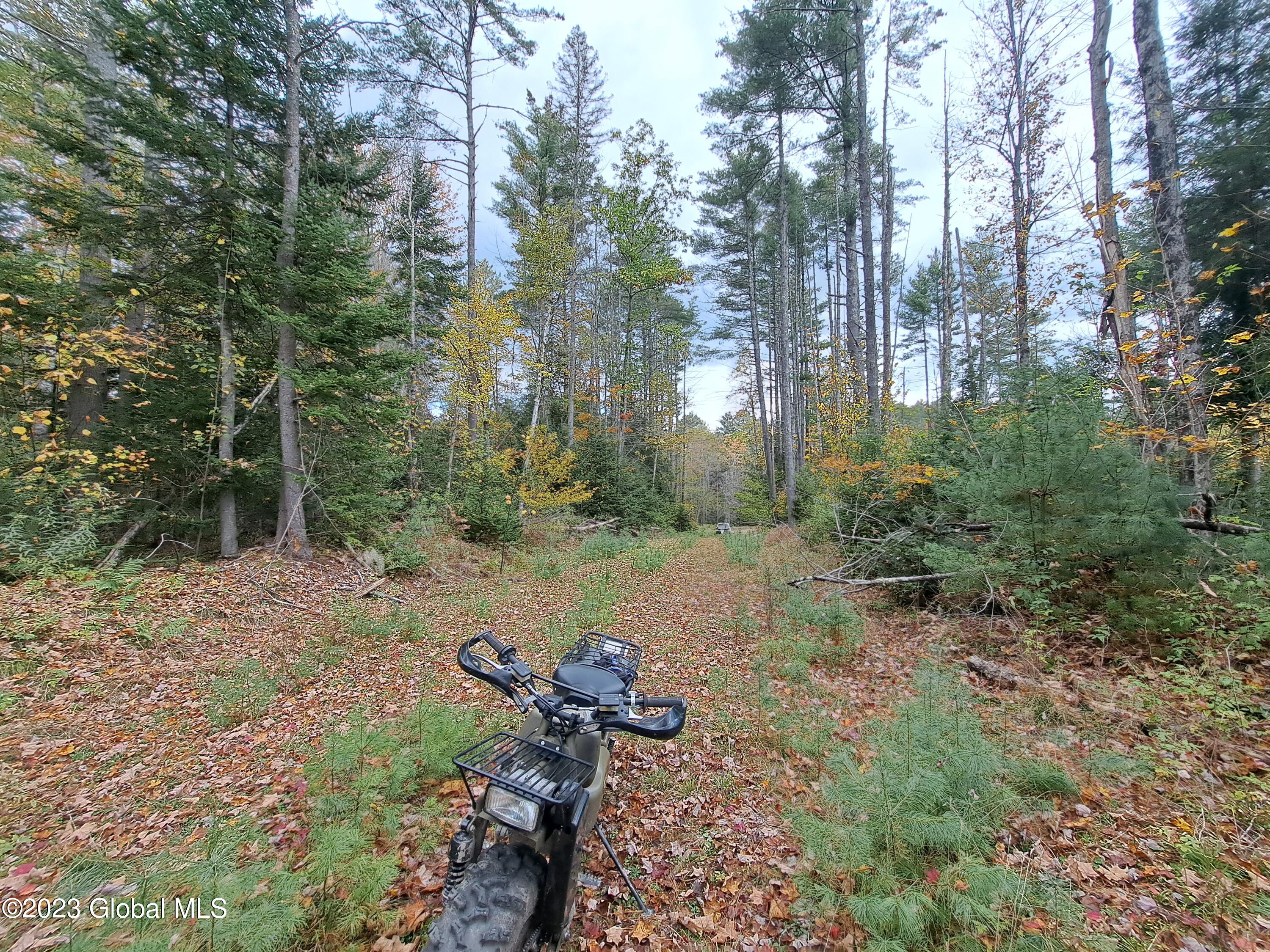 13.2 Friends Lake Road Chestertown, NY 12817 - Photo 22 of 78 21 Old Town Road