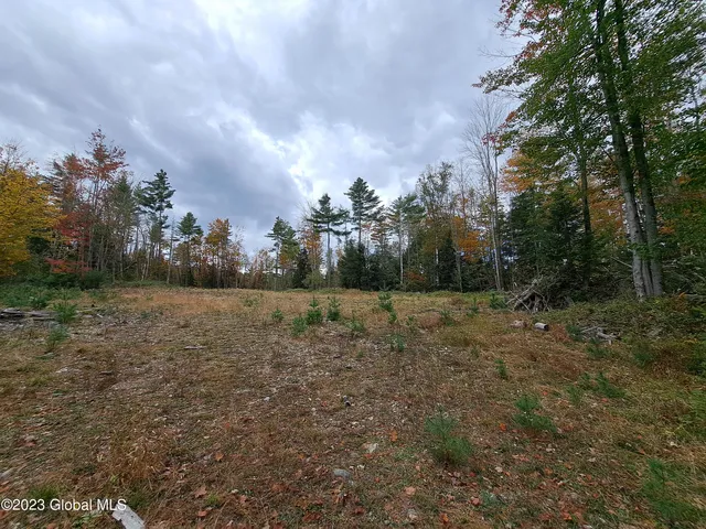 $699,900 | 13.2 Friends Lake Road, Chestertown, NY 12817