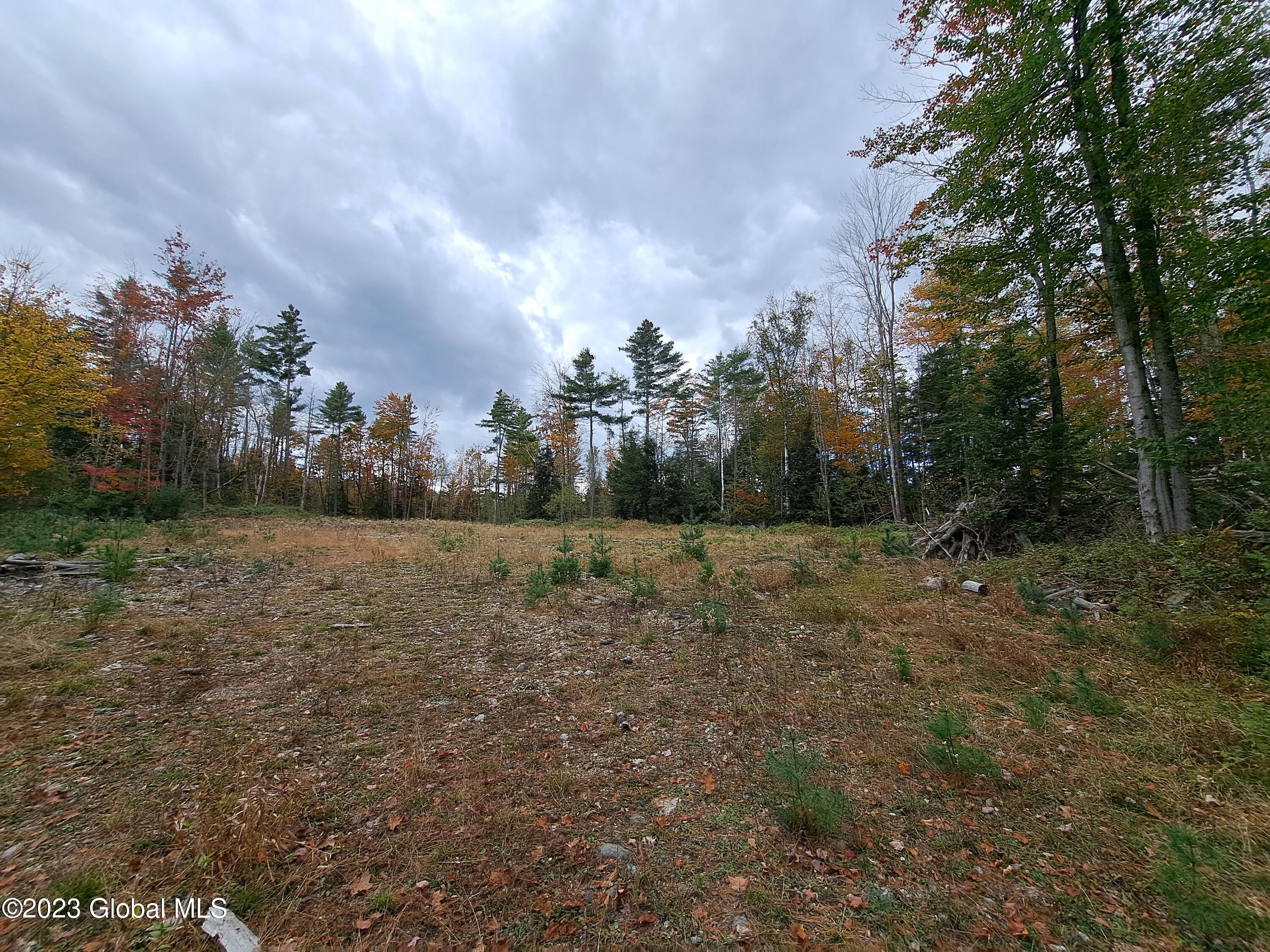 13.2 Friends Lake Road Chestertown, NY 12817 - Photo 23 of 78 22 Log Landing