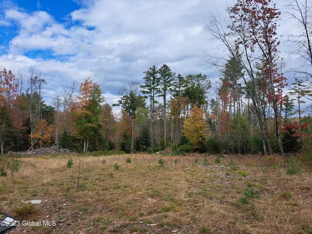 $699,900 | 13.2 Friends Lake Road, Chestertown, NY 12817