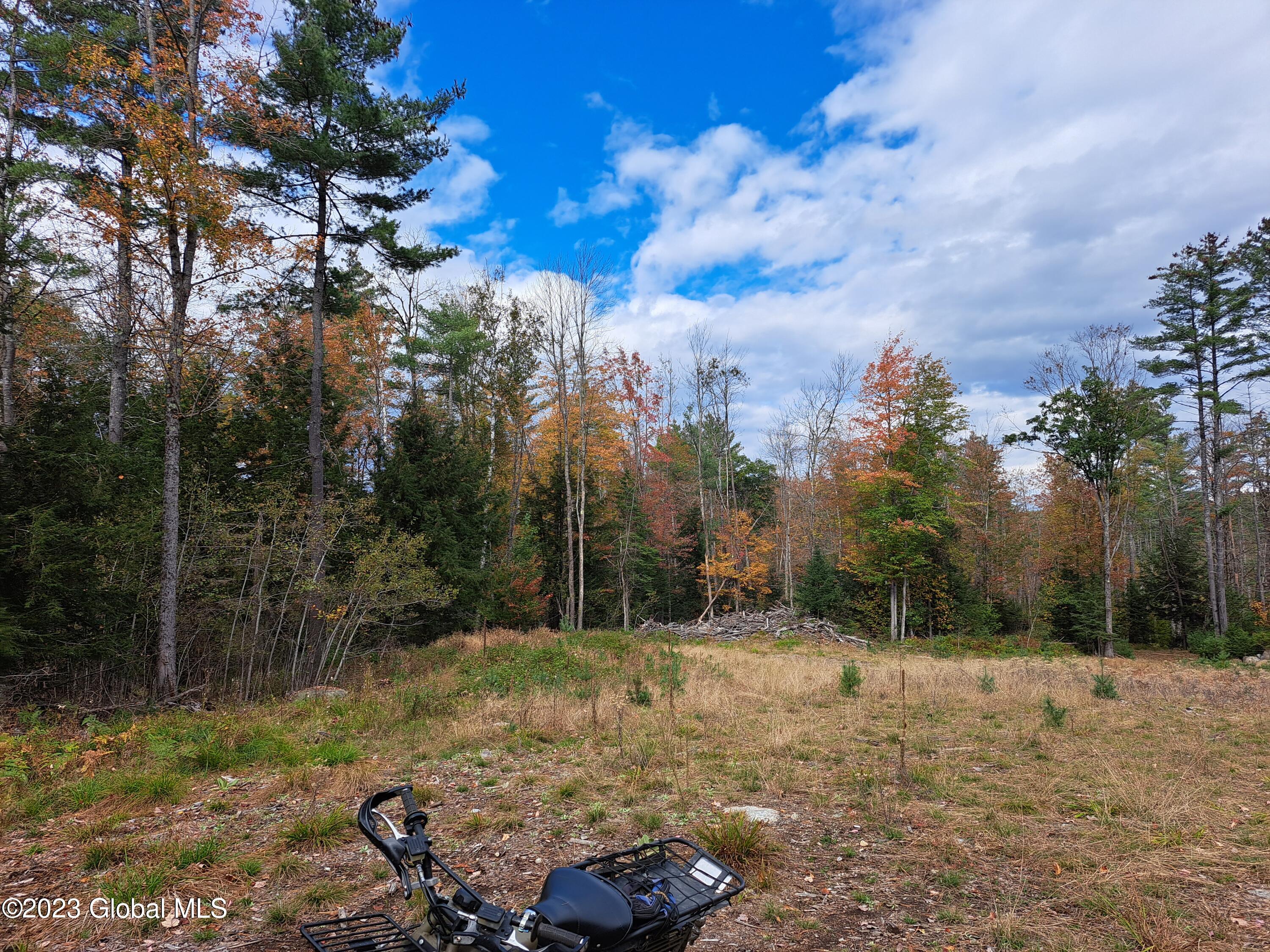 13.2 Friends Lake Road Chestertown, NY 12817 - Photo 25 of 78 24 Log Landing