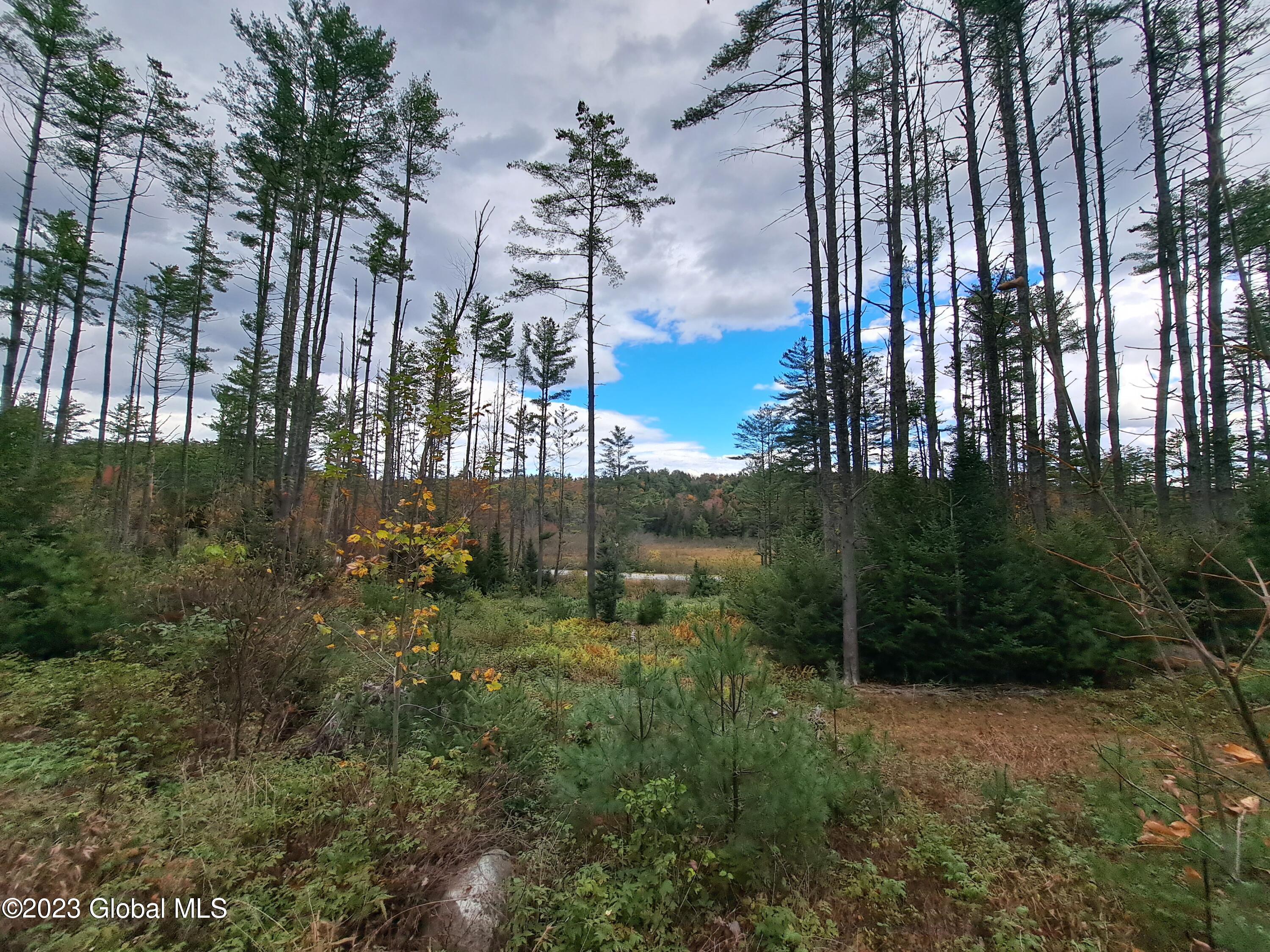 13.2 Friends Lake Road Chestertown, NY 12817 - Photo 26 of 78 25 Across Friends Lake Road