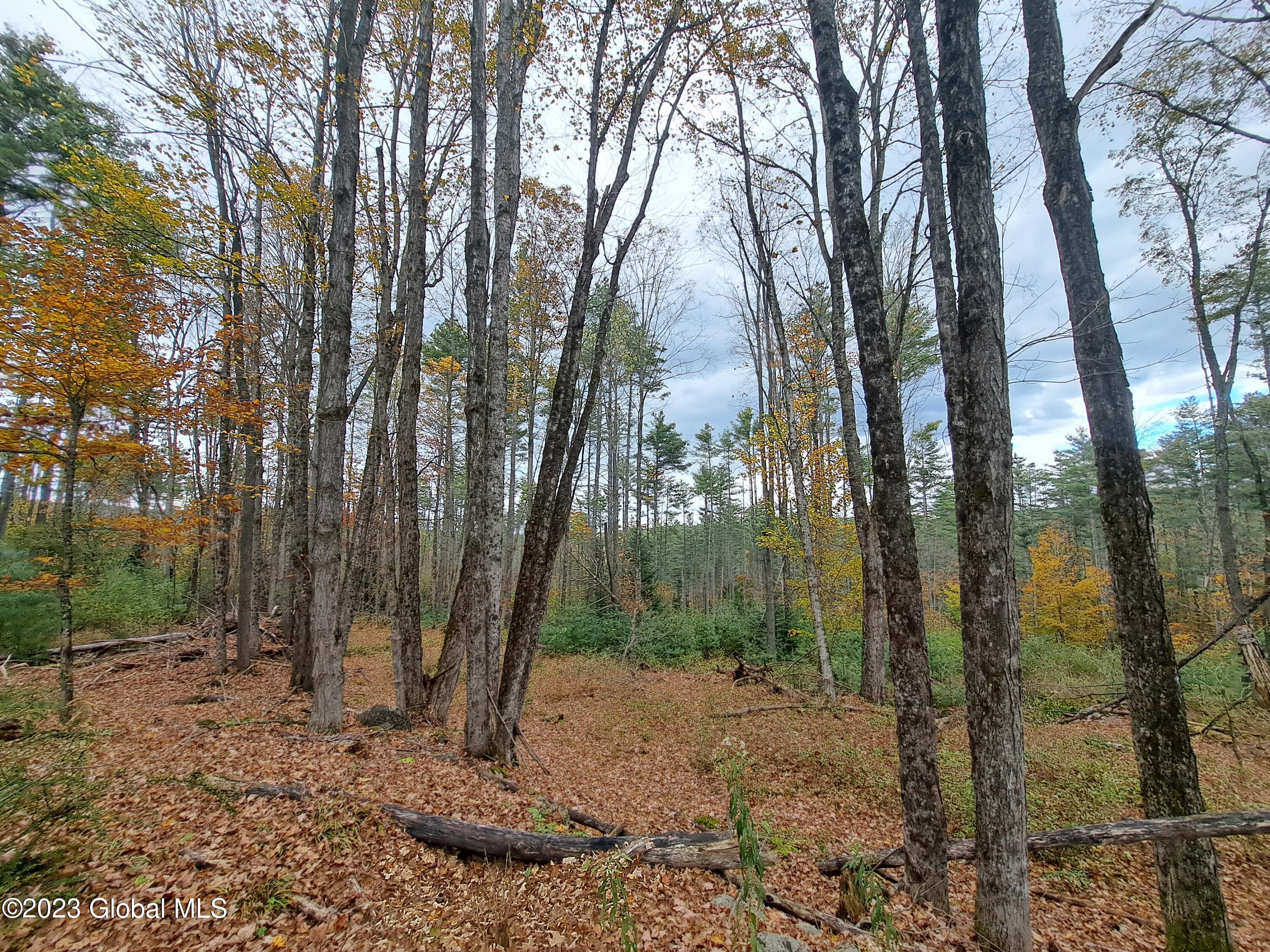 13.2 Friends Lake Road Chestertown, NY 12817 - Photo 28 of 78 27 Roadside Sugar Maples