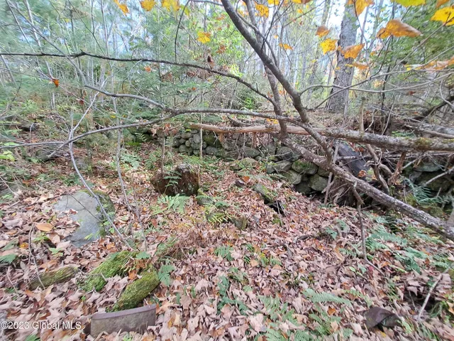 $699,900 | 13.2 Friends Lake Road, Chestertown, NY 12817