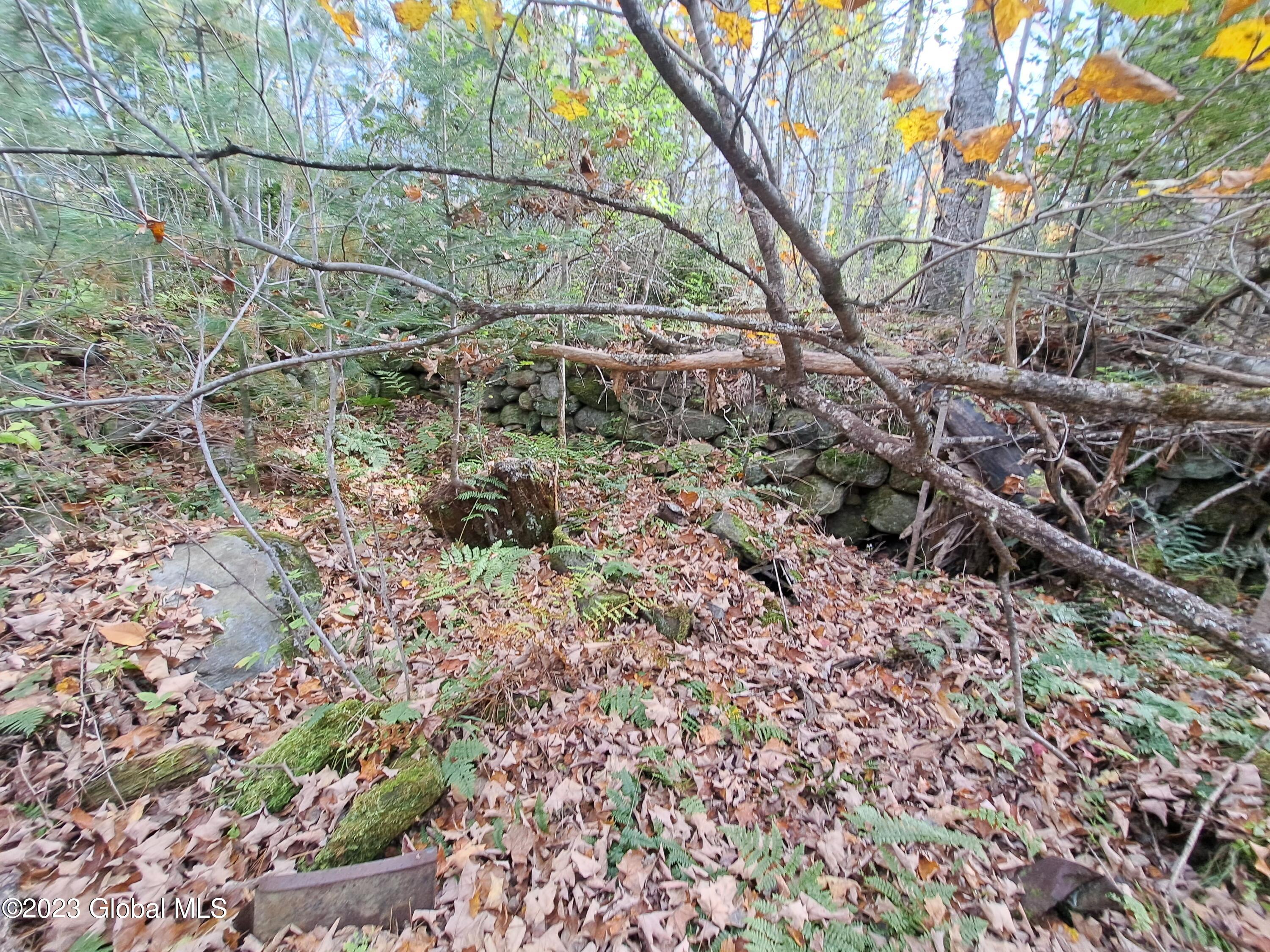 13.2 Friends Lake Road Chestertown, NY 12817 - Photo 29 of 78 28 Cellar Hole