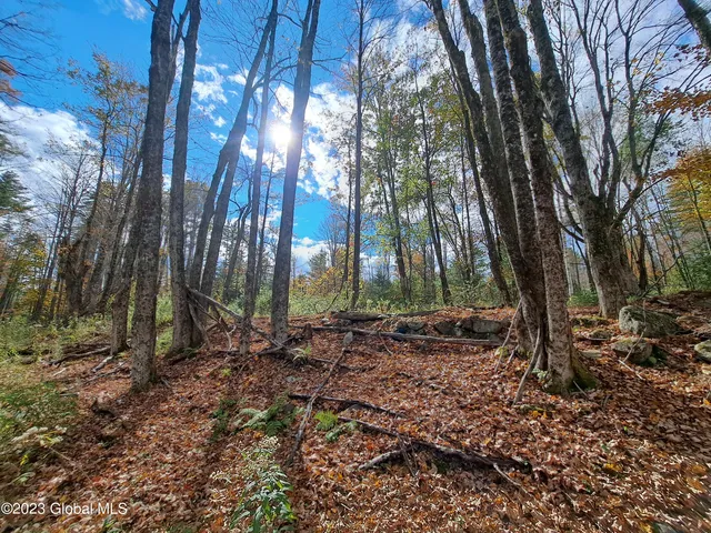 $699,900 | 13.2 Friends Lake Road, Chestertown, NY 12817