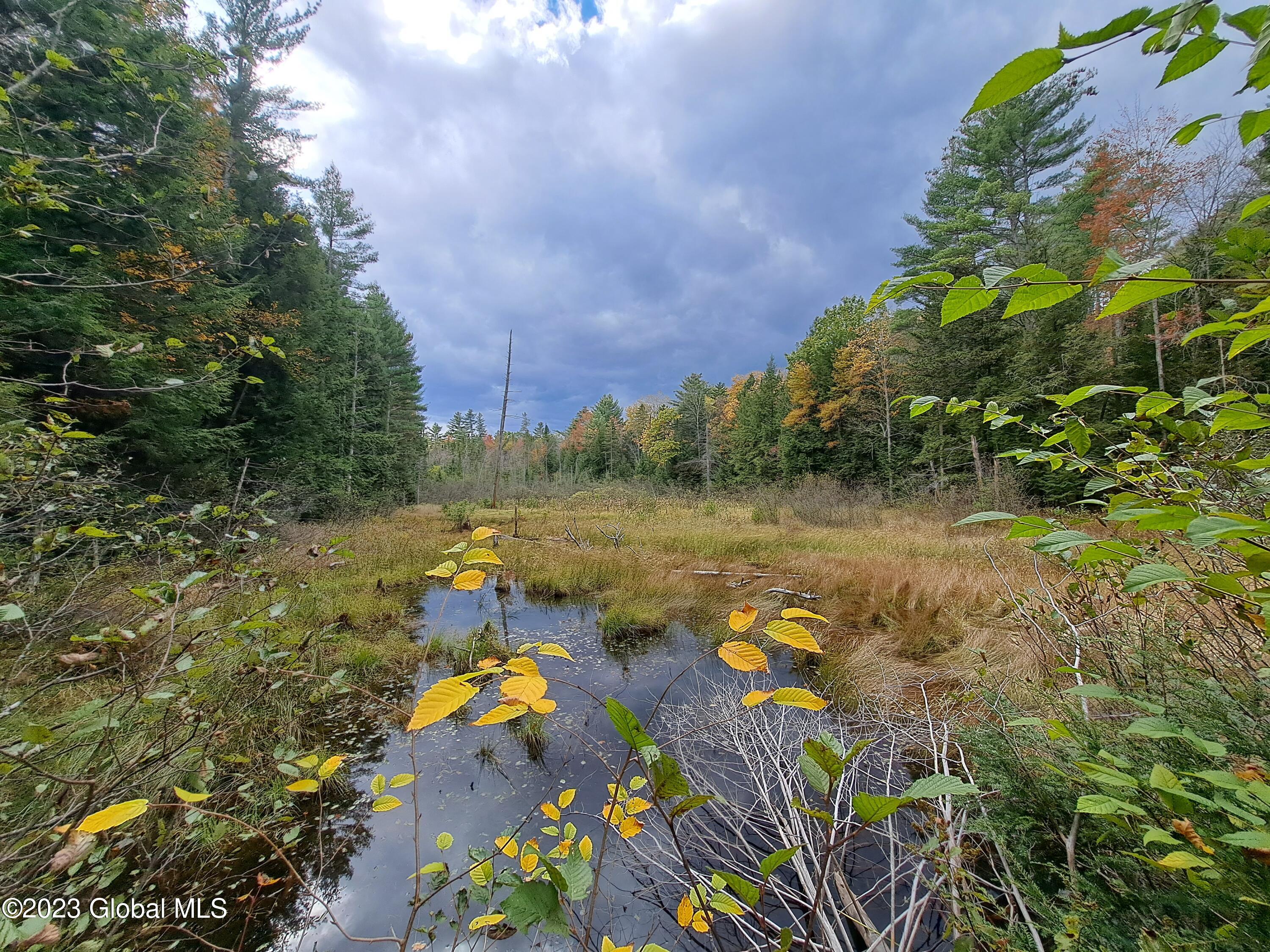 13.2 Friends Lake Road Chestertown, NY 12817 - Photo 31 of 78 30 Small Wetland