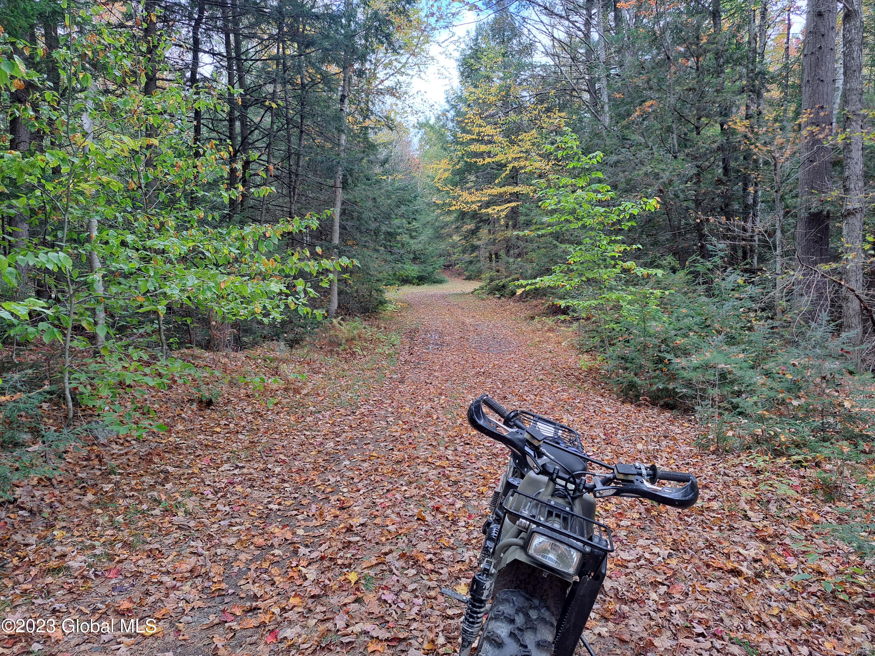 13.2 Friends Lake Road Chestertown, NY 12817 - Photo 32 of 78 31 Woods Road