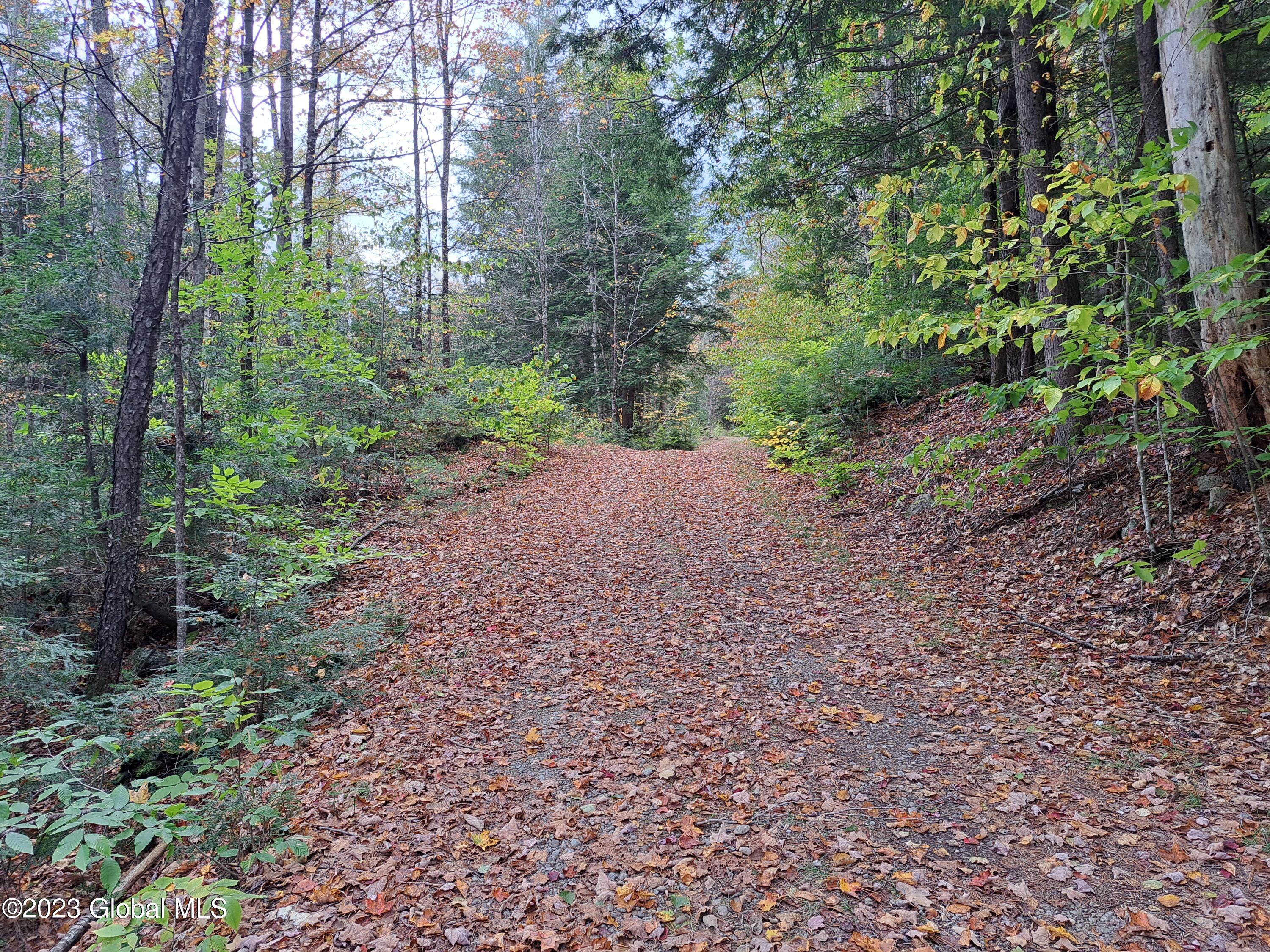 13.2 Friends Lake Road Chestertown, NY 12817 - Photo 33 of 78 32 Woods Road