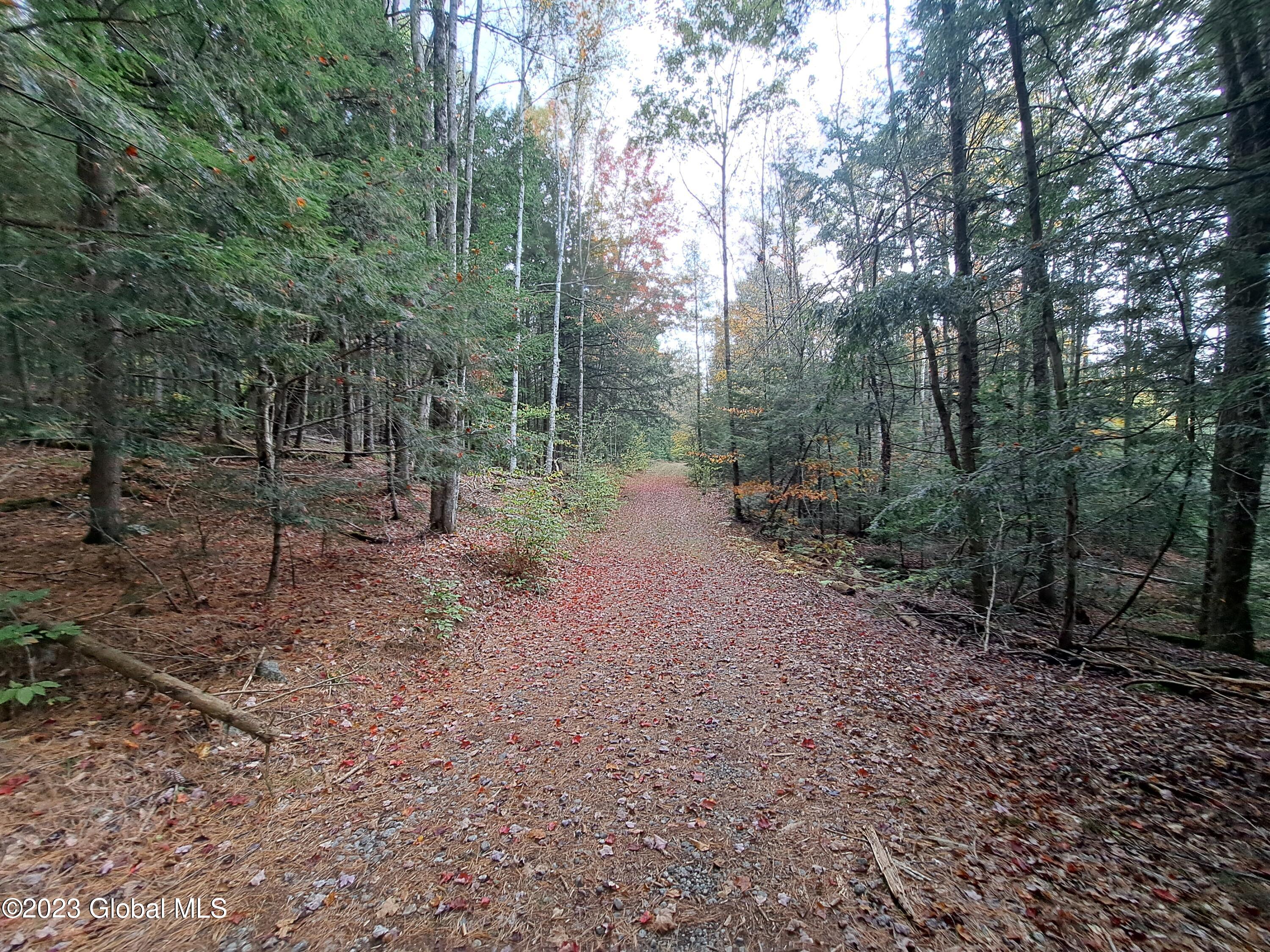 13.2 Friends Lake Road Chestertown, NY 12817 - Photo 34 of 78 33 Woods Road