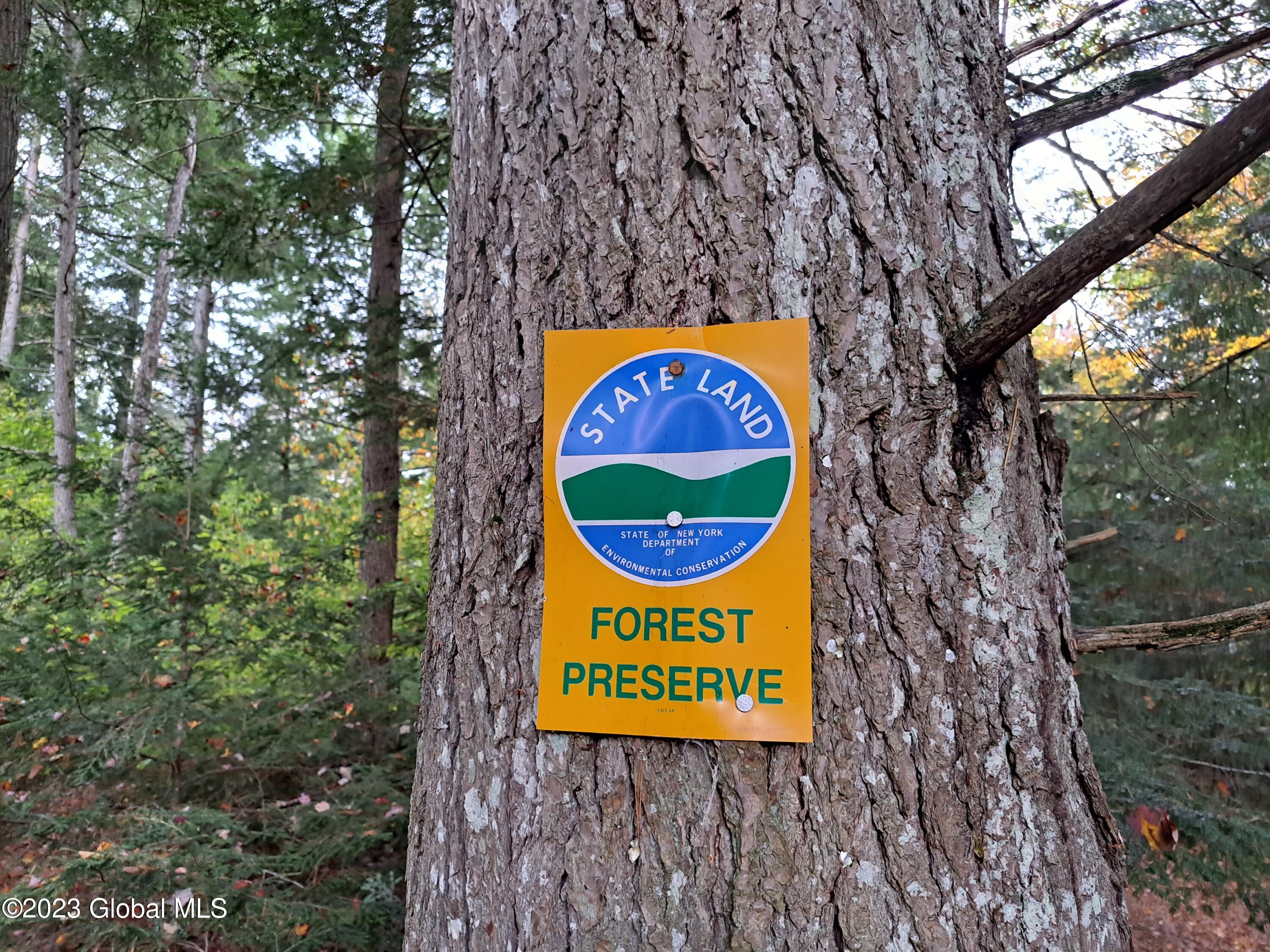 13.2 Friends Lake Road Chestertown, NY 12817 - Photo 35 of 78 34 State Forest Preserve Marker
