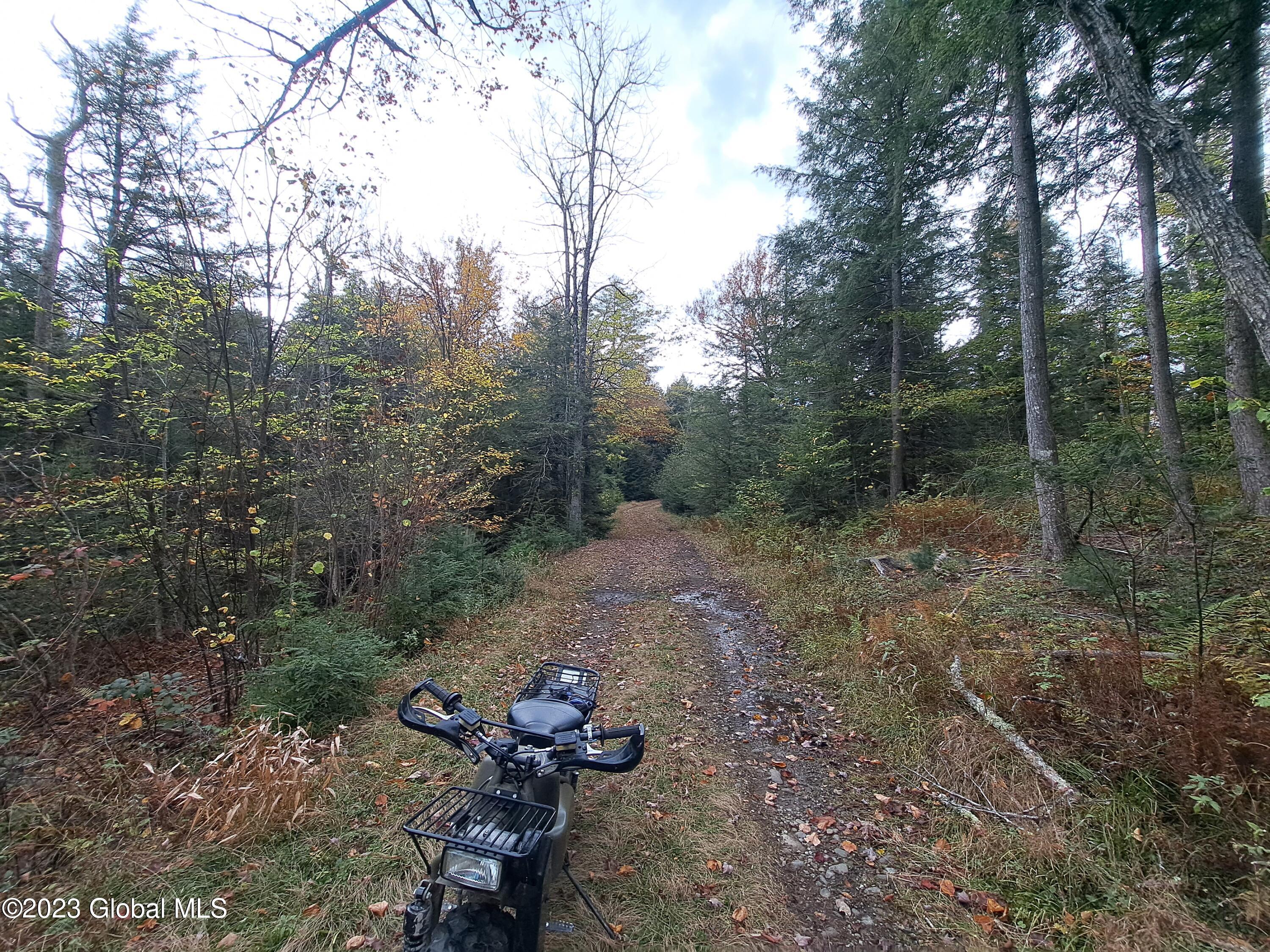 13.2 Friends Lake Road Chestertown, NY 12817 - Photo 37 of 78 36 Rokon on Woods Road