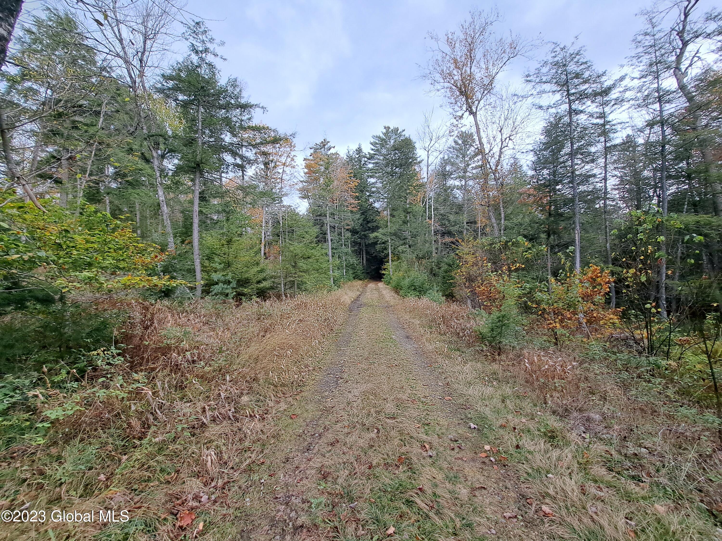 13.2 Friends Lake Road Chestertown, NY 12817 - Photo 38 of 78 37 Woods Road