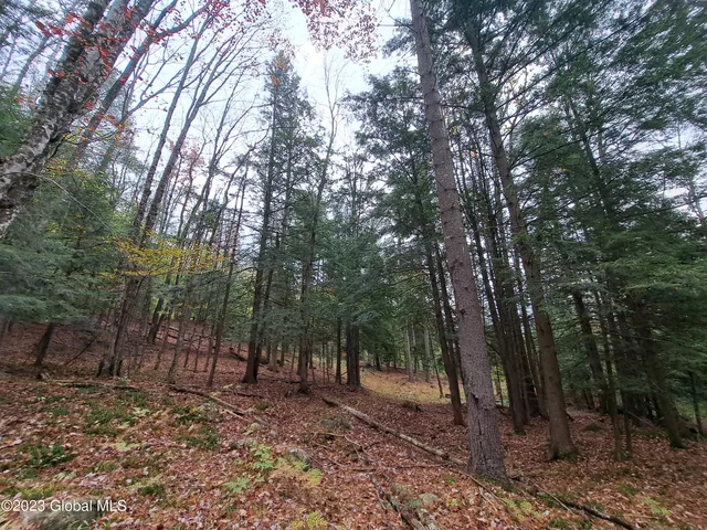 $699,900 | 13.2 Friends Lake Road, Chestertown, NY 12817