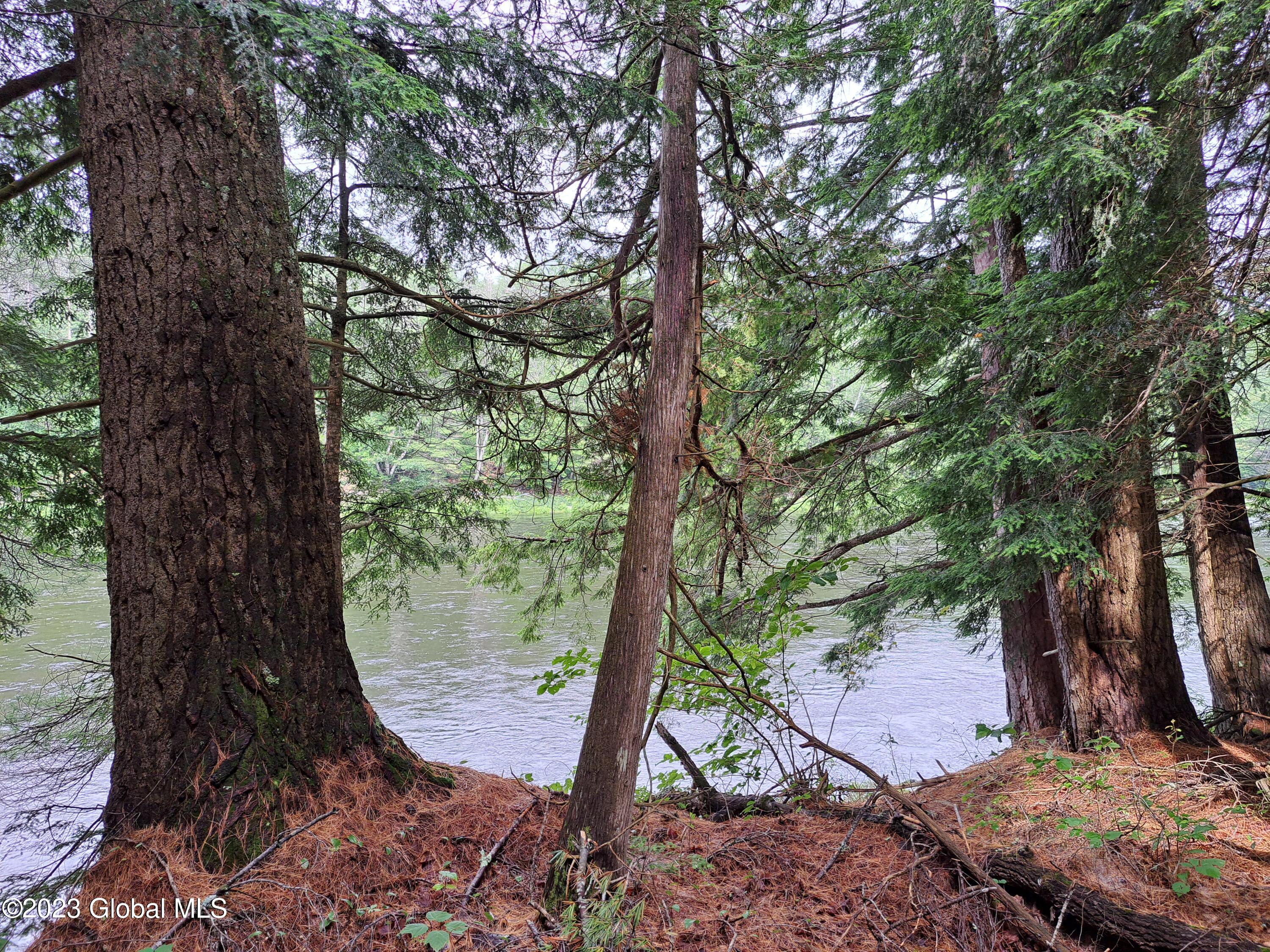 13.2 Friends Lake Road Chestertown, NY 12817 - Photo 4 of 78 04 Hudson River from Shoreline