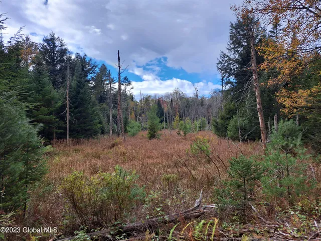 $699,900 | 13.2 Friends Lake Road, Chestertown, NY 12817