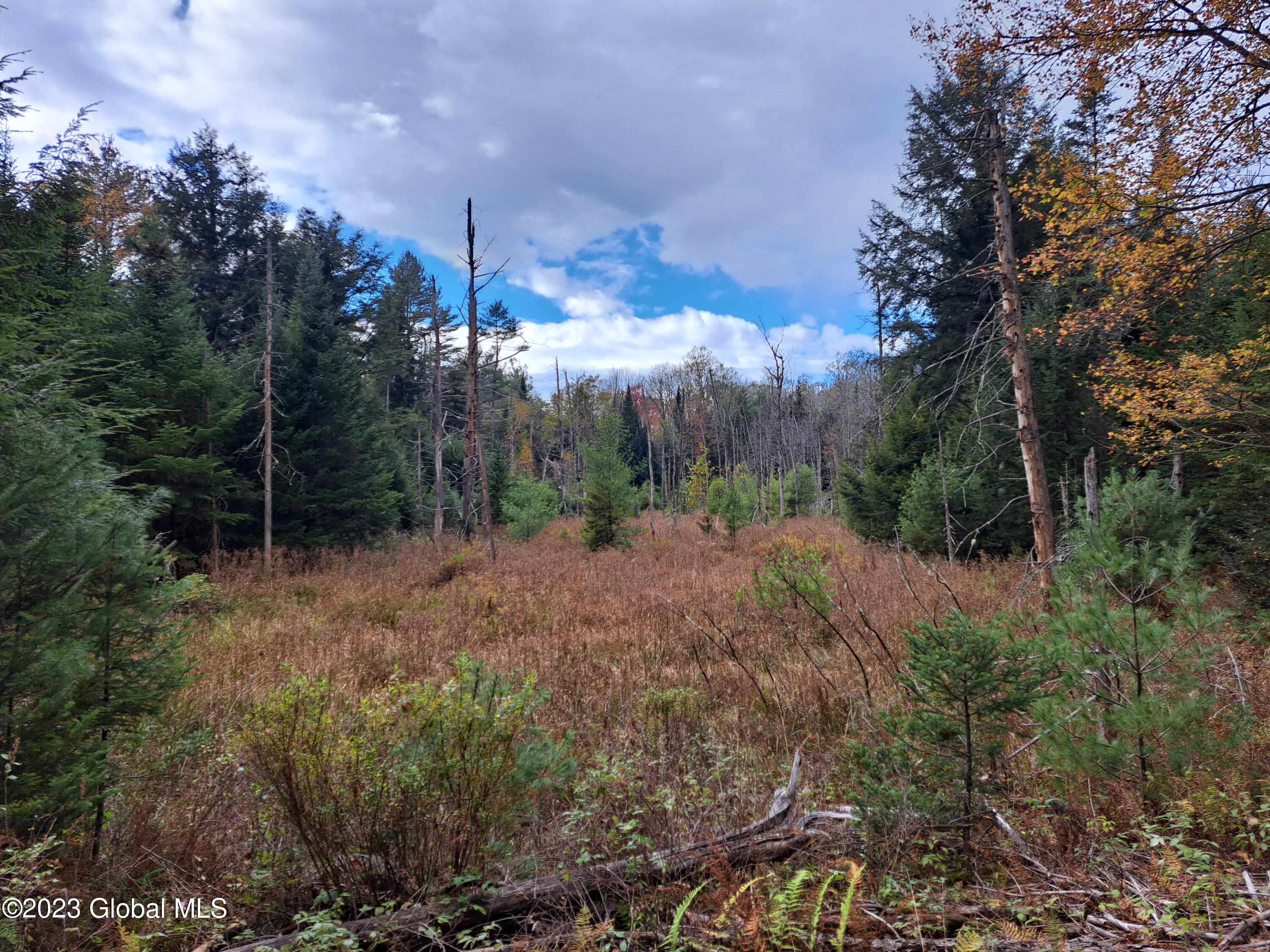 13.2 Friends Lake Road Chestertown, NY 12817 - Photo 41 of 78 40 Small Wetland
