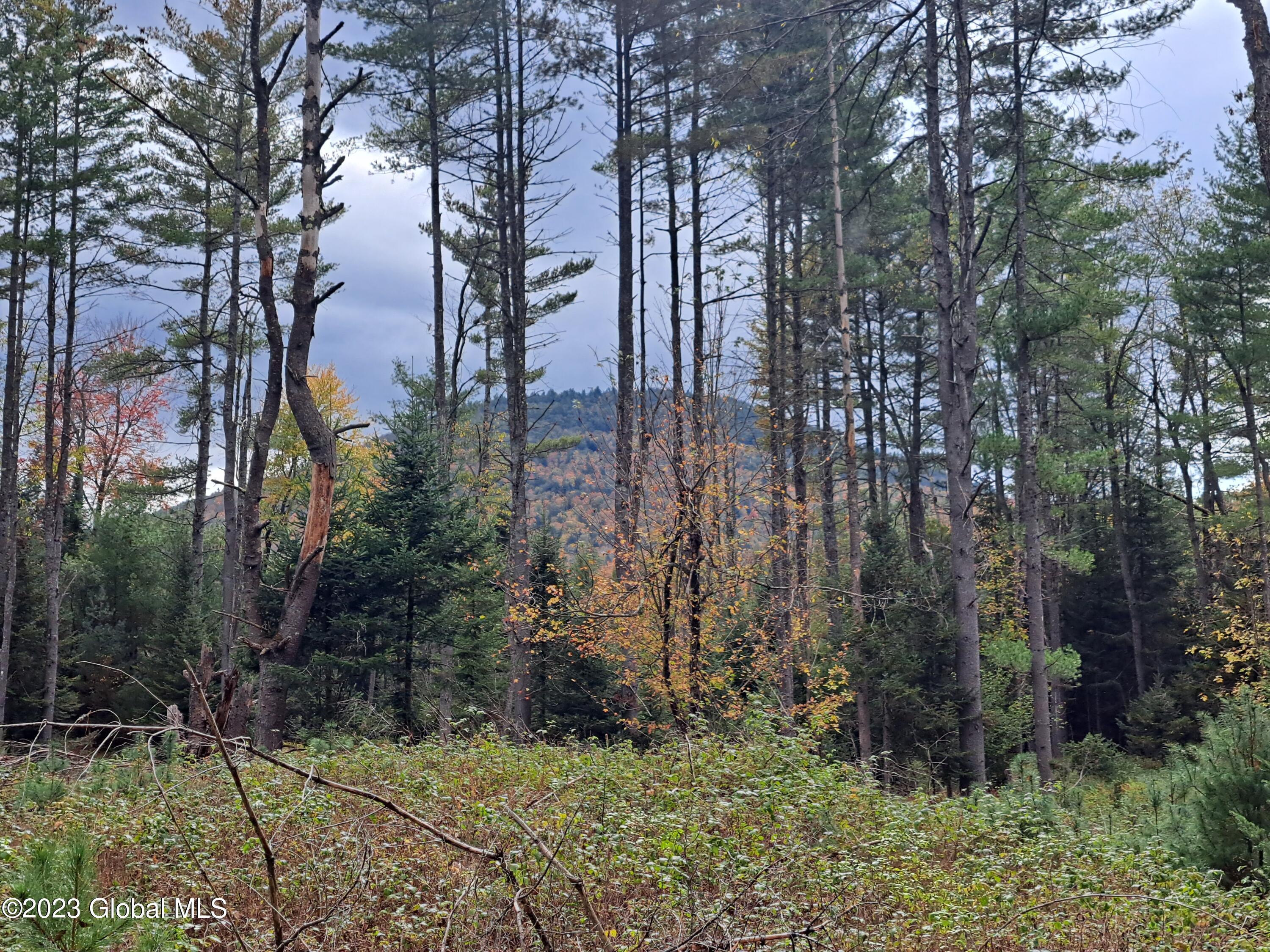 13.2 Friends Lake Road Chestertown, NY 12817 - Photo 43 of 78 42 Stockton Mountain