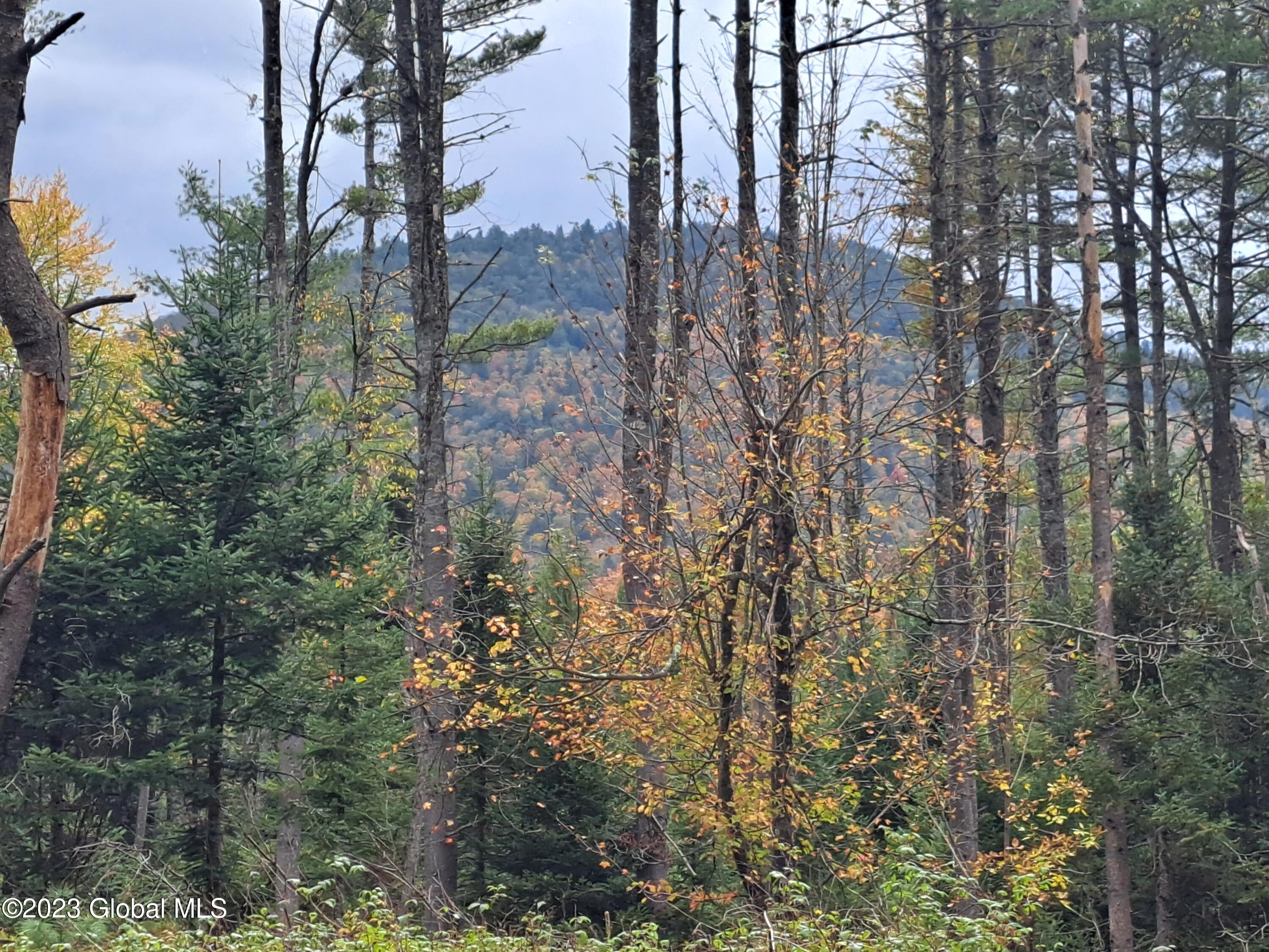 13.2 Friends Lake Road Chestertown, NY 12817 - Photo 44 of 78 43 Stockton Mountain