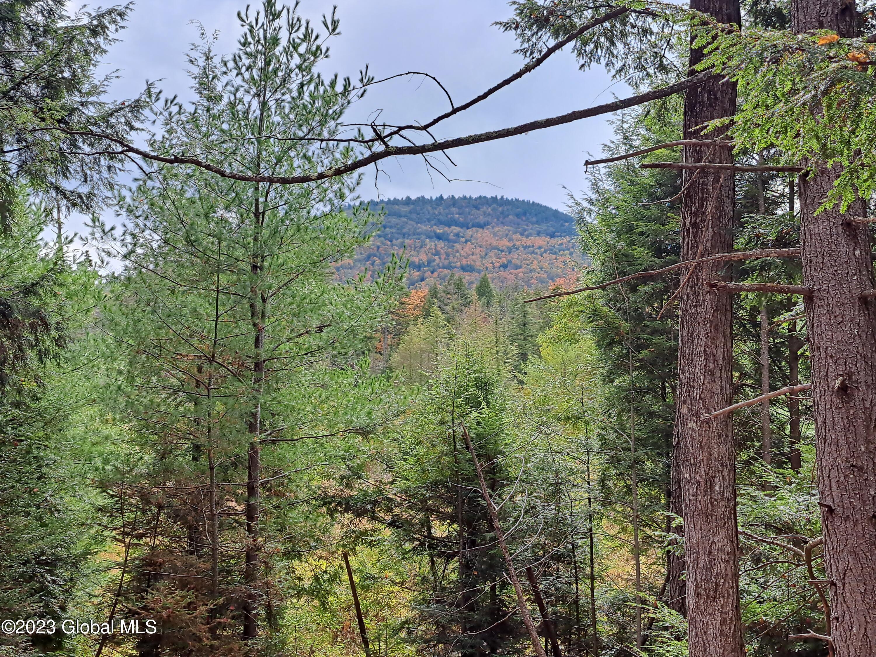 13.2 Friends Lake Road Chestertown, NY 12817 - Photo 45 of 78 44 Stockton Mountain