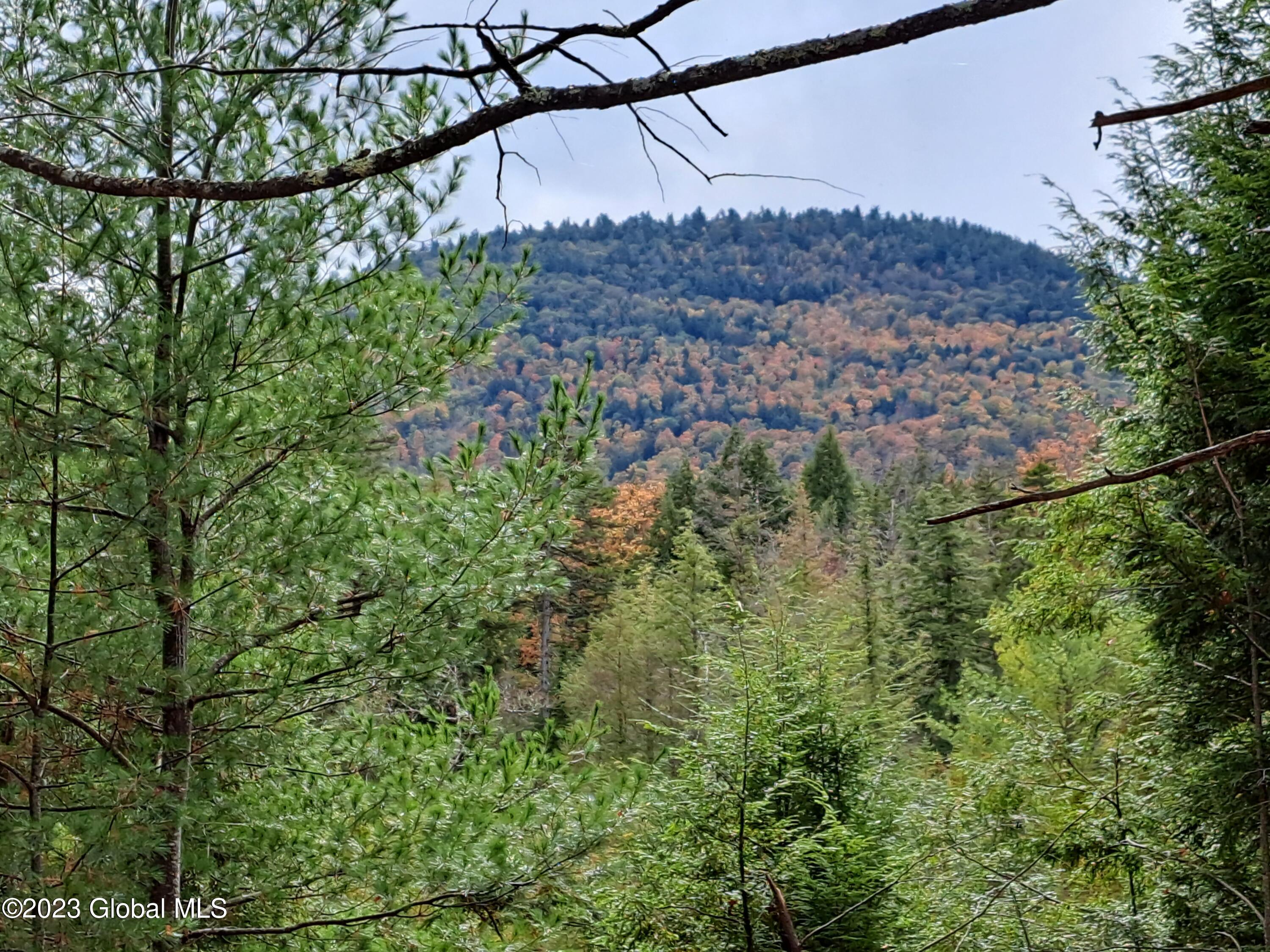 13.2 Friends Lake Road Chestertown, NY 12817 - Photo 46 of 78 45 October Colors on Stockton Maountain
