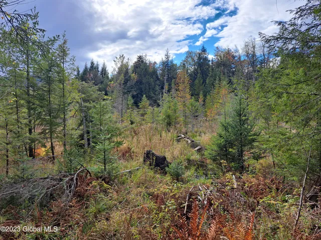 $699,900 | 13.2 Friends Lake Road, Chestertown, NY 12817