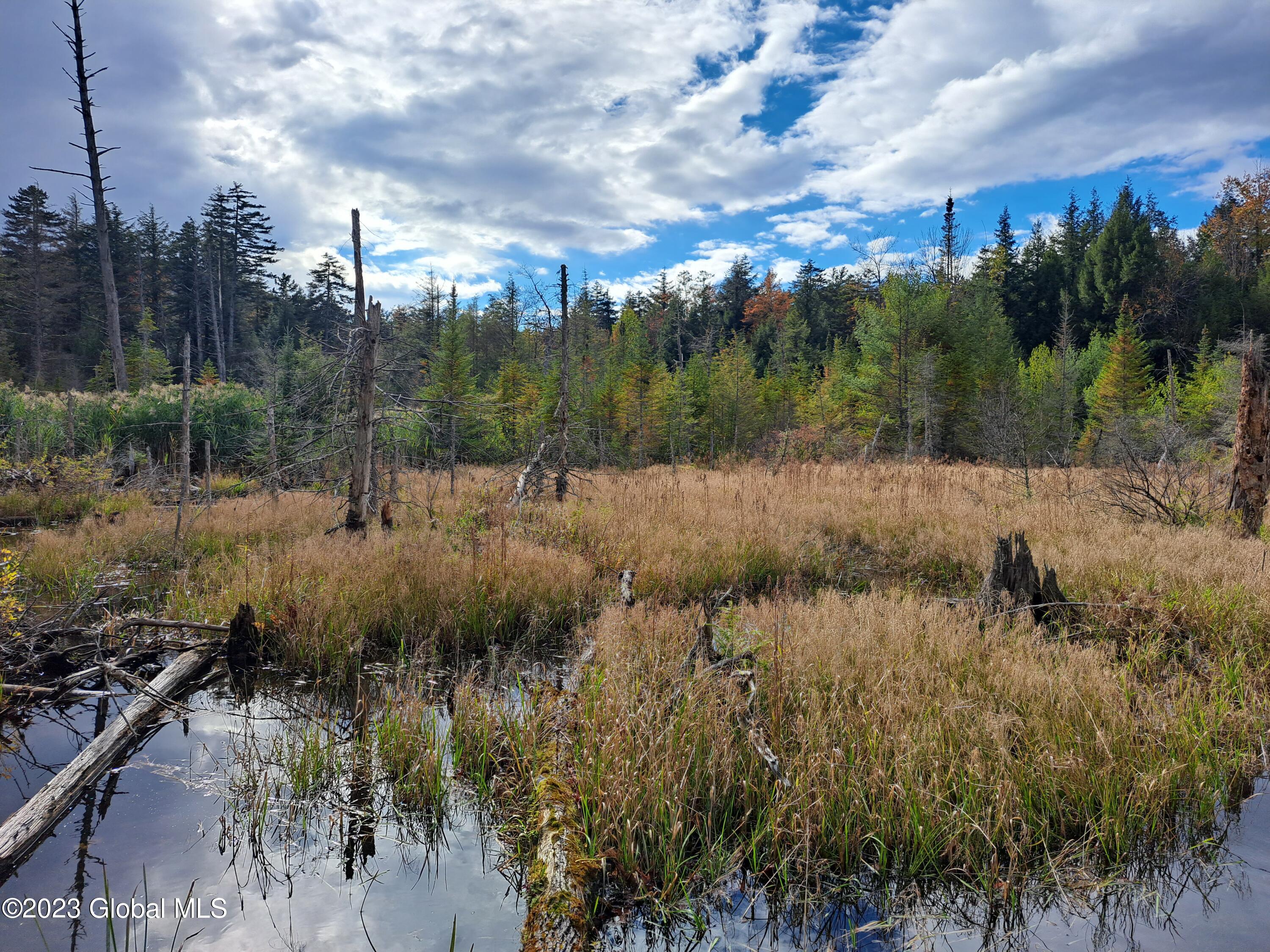 13.2 Friends Lake Road Chestertown, NY 12817 - Photo 48 of 78 47 Beaver Pond