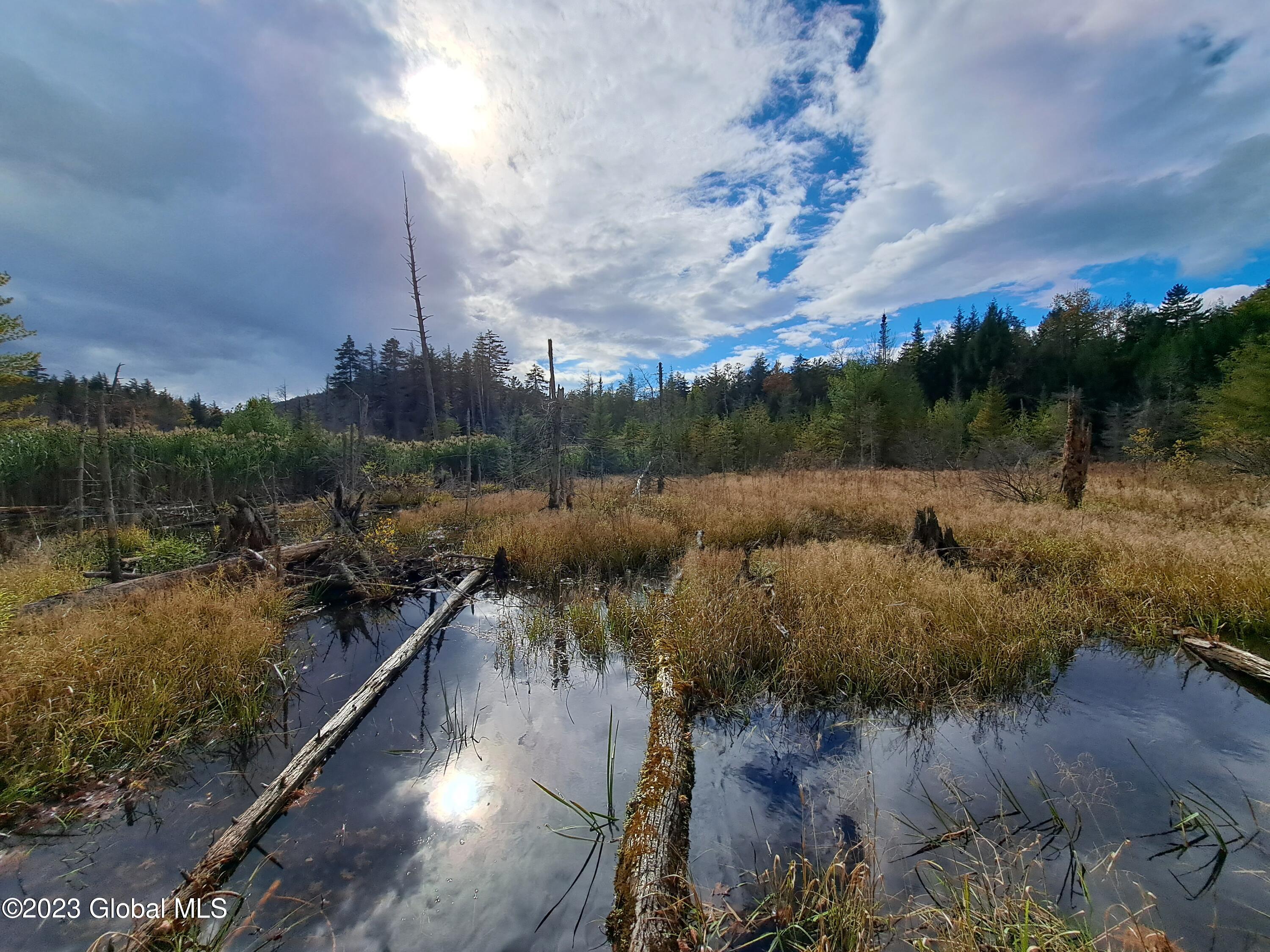 13.2 Friends Lake Road Chestertown, NY 12817 - Photo 50 of 78 49 Beaver Pond