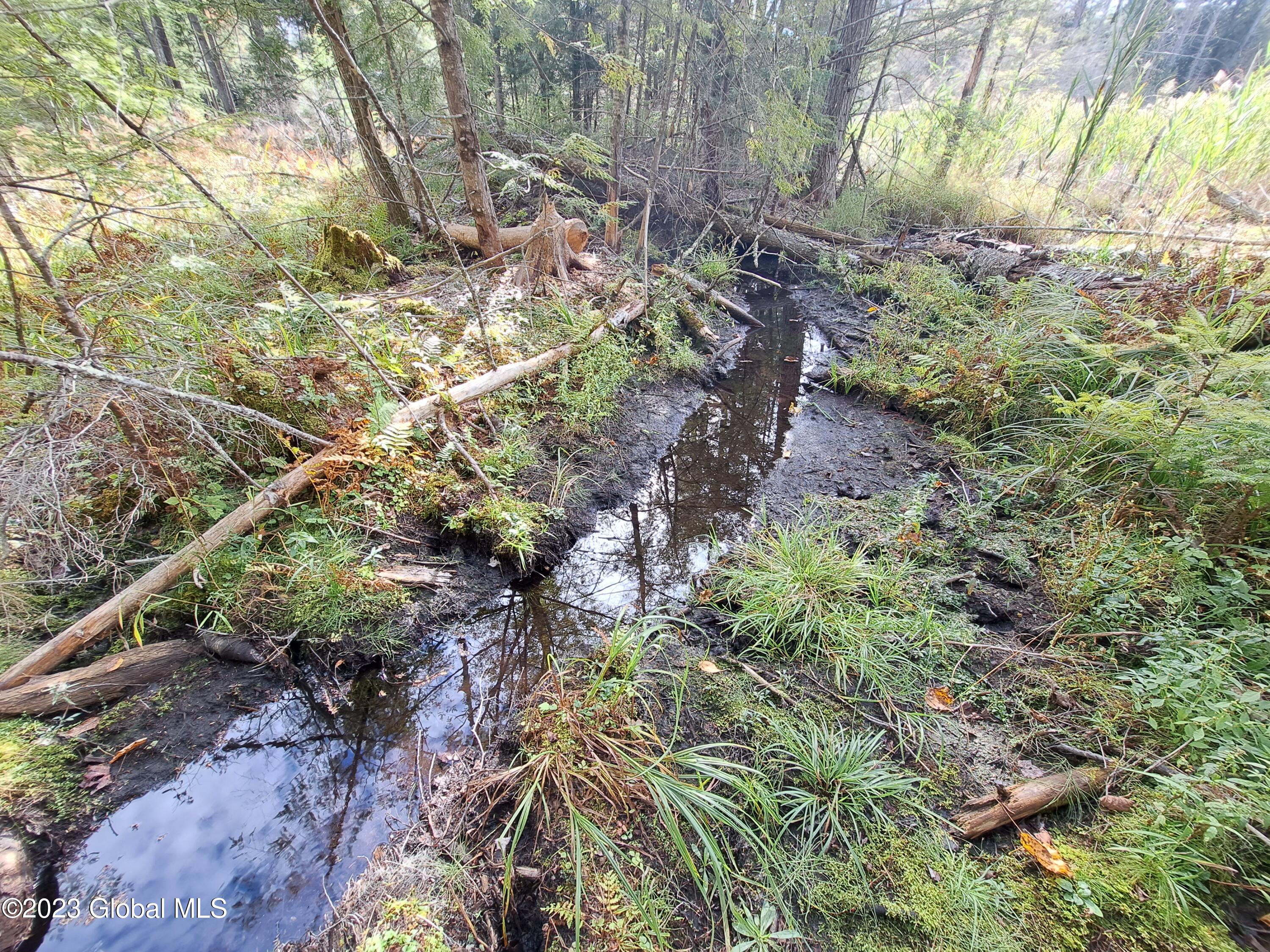 13.2 Friends Lake Road Chestertown, NY 12817 - Photo 51 of 78 50 Beaver Canal