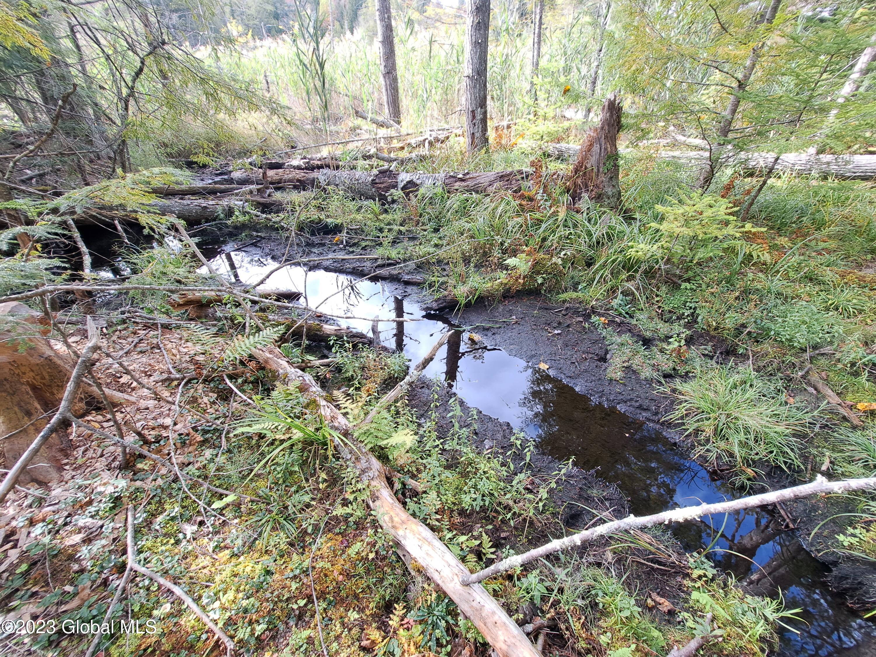 13.2 Friends Lake Road Chestertown, NY 12817 - Photo 52 of 78 51 Beaver Canal