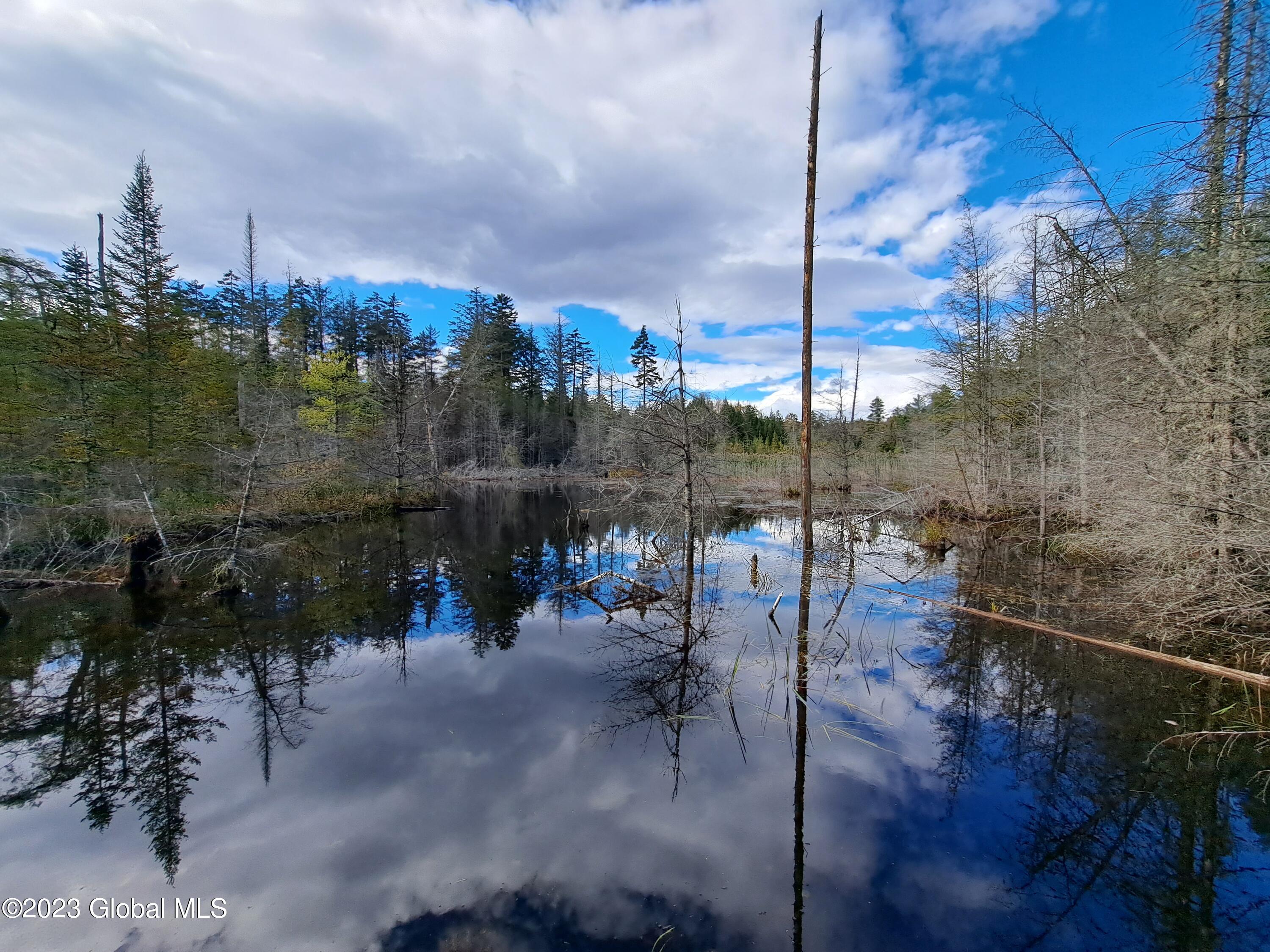 13.2 Friends Lake Road Chestertown, NY 12817 - Photo 53 of 78 52 Beaver Pond