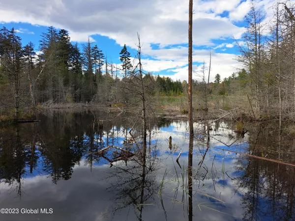 $699,900 | 13.2 Friends Lake Road, Chestertown, NY 12817