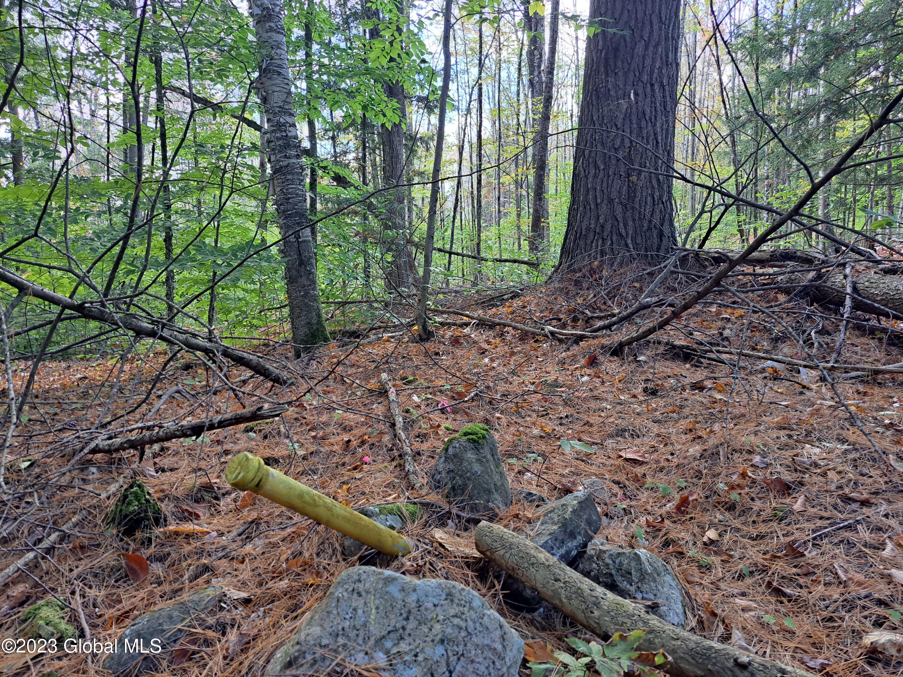 13.2 Friends Lake Road Chestertown, NY 12817 - Photo 59 of 78 58 Corner Pipe at State Land
