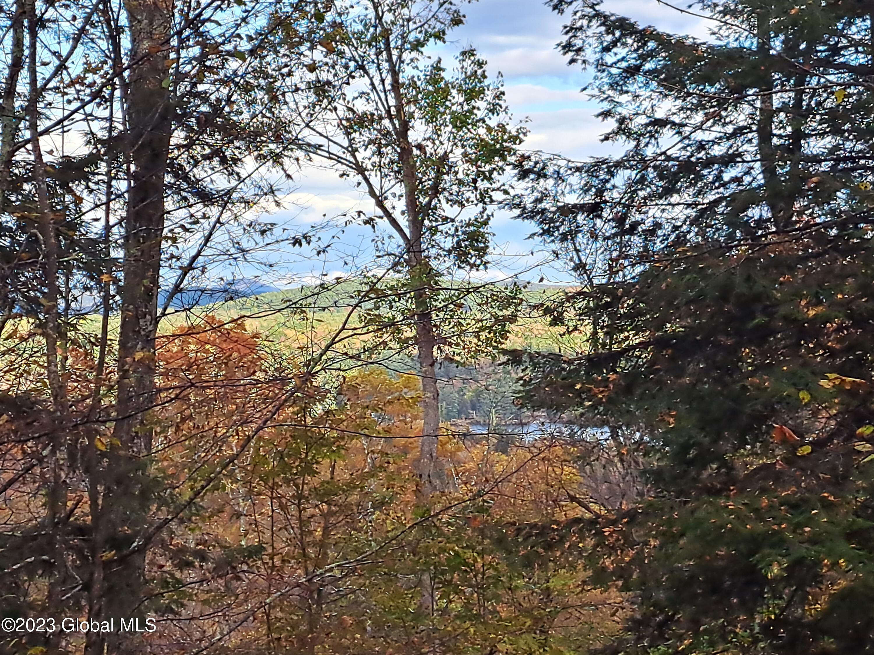 13.2 Friends Lake Road Chestertown, NY 12817 - Photo 62 of 78 61 Friends Lake Through the Trees