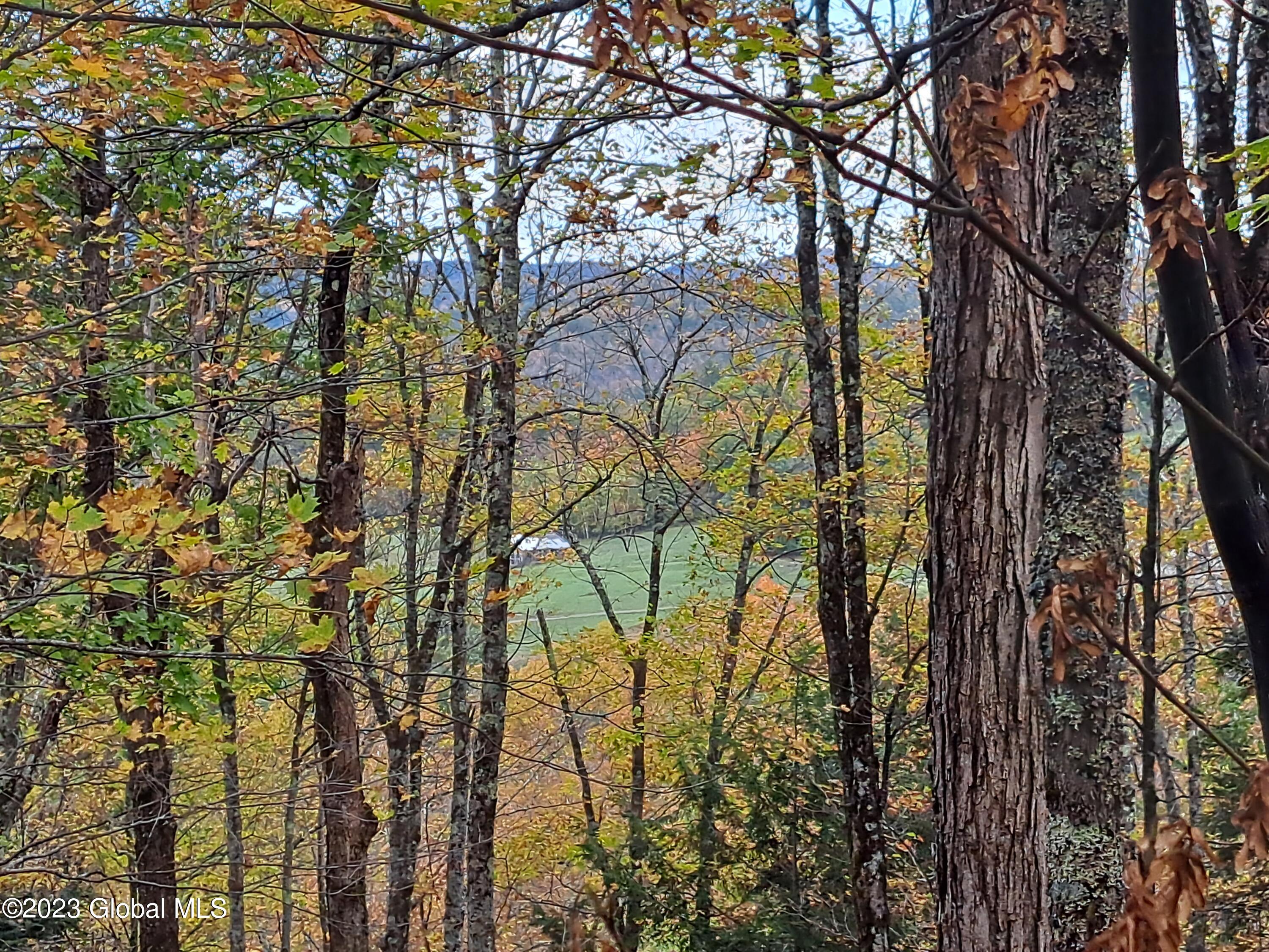 13.2 Friends Lake Road Chestertown, NY 12817 - Photo 63 of 78 62 Farm on Friends Lake Road