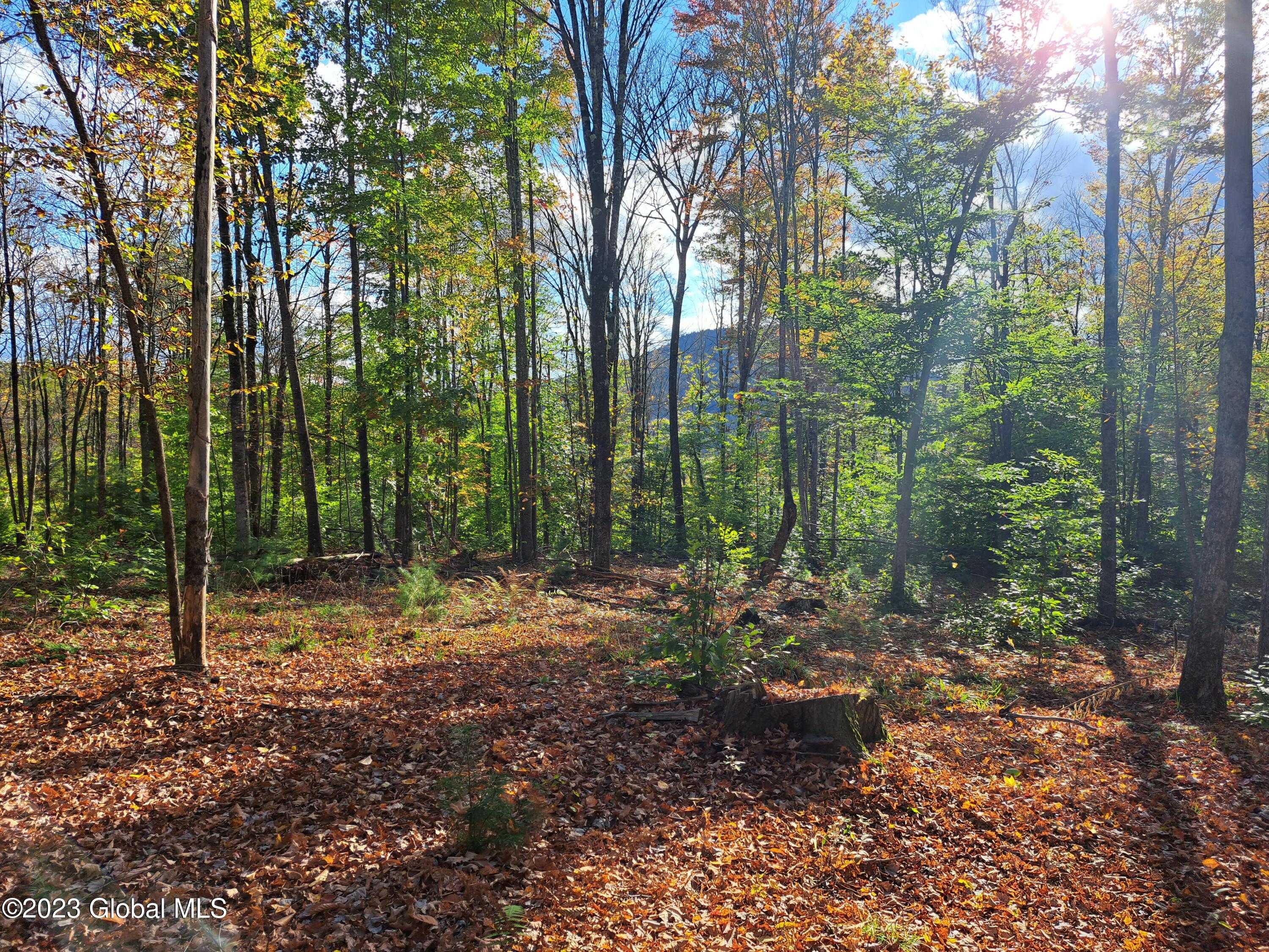 13.2 Friends Lake Road Chestertown, NY 12817 - Photo 66 of 78 65 Possible View of Stockton Mtn