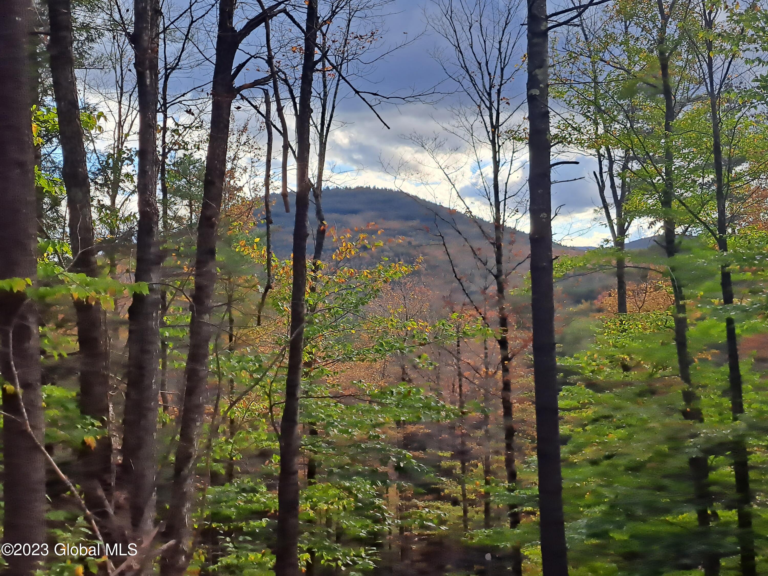 13.2 Friends Lake Road Chestertown, NY 12817 - Photo 7 of 78 07 Stockton Mountain