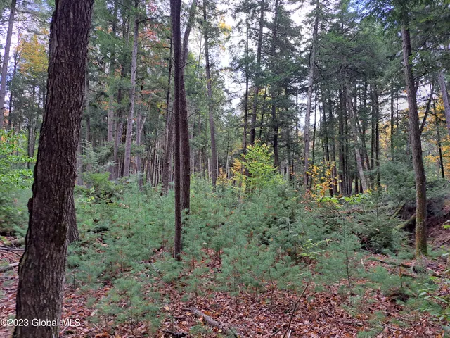 $699,900 | 13.2 Friends Lake Road, Chestertown, NY 12817