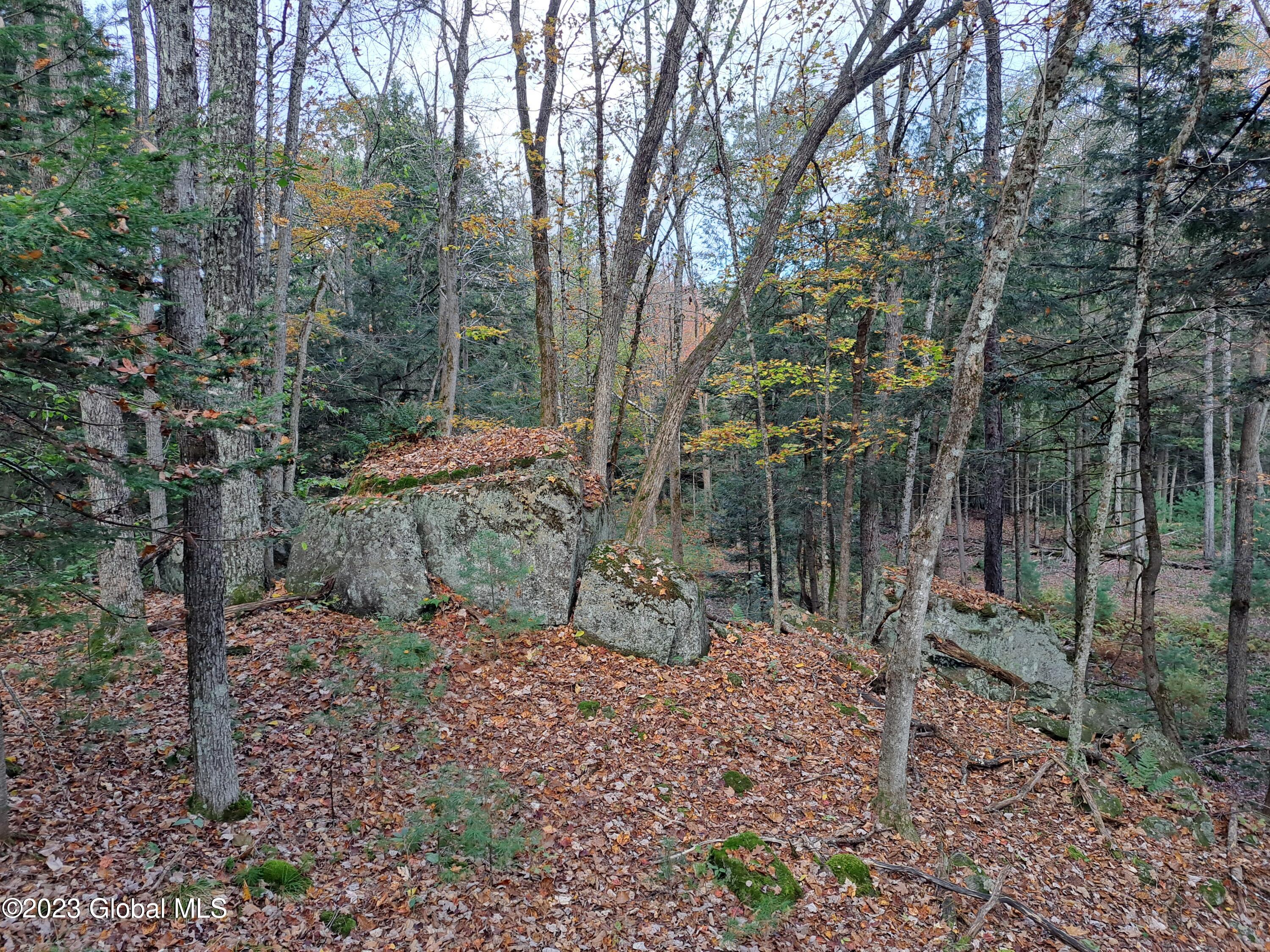 13.2 Friends Lake Road Chestertown, NY 12817 - Photo 76 of 78 75 Rocky Knoll