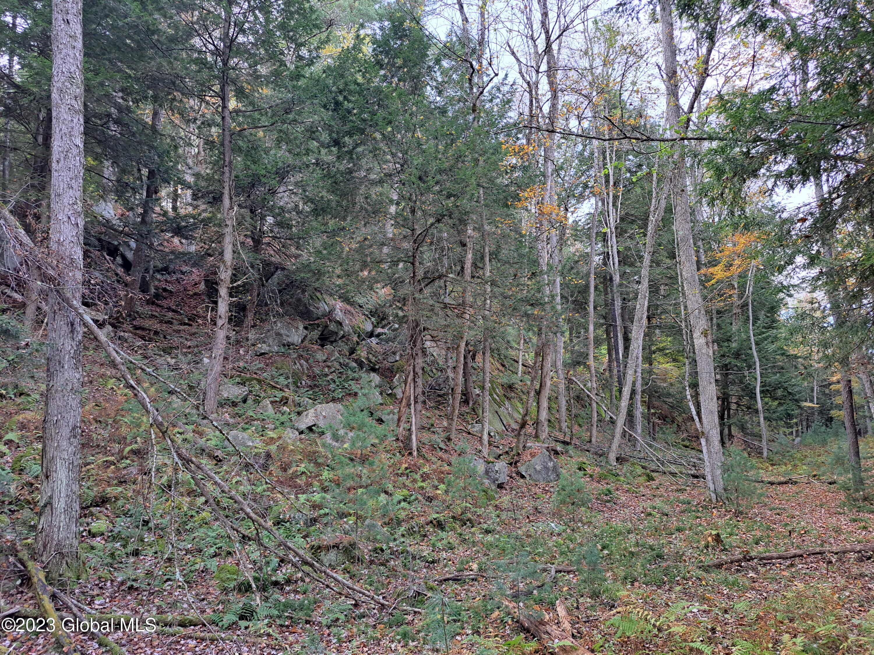 13.2 Friends Lake Road Chestertown, NY 12817 - Photo 77 of 78 76 Rock Outcropping