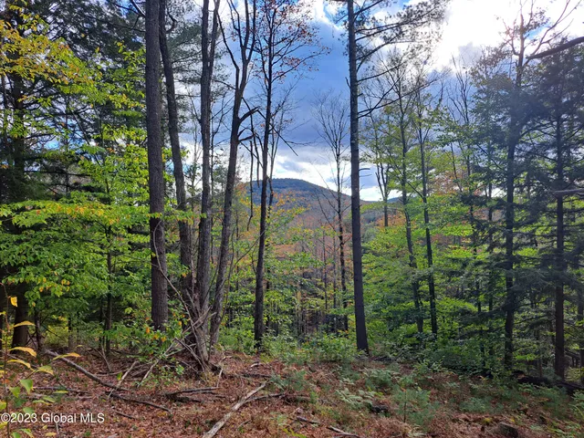 $699,900 | 13.2 Friends Lake Road, Chestertown, NY 12817