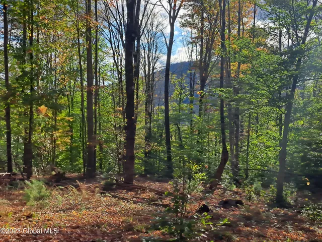 $699,900 | 13.2 Friends Lake Road, Chestertown, NY 12817