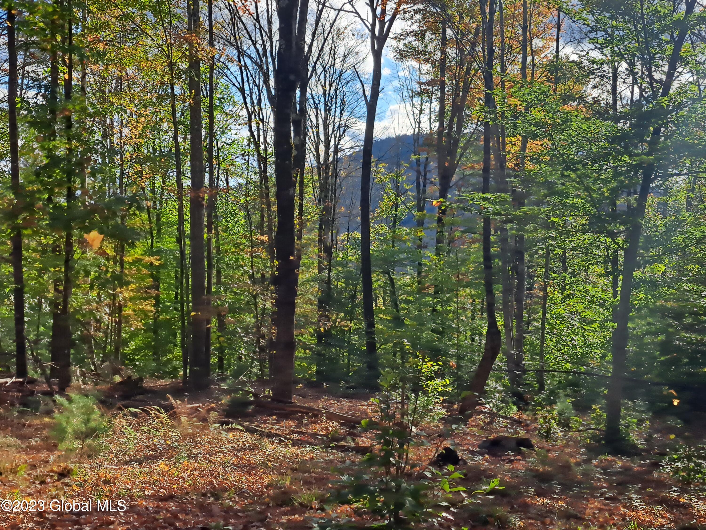 13.2 Friends Lake Road Chestertown, NY 12817 - Photo 10 of 78 09 Treed View of Stockton Mountain