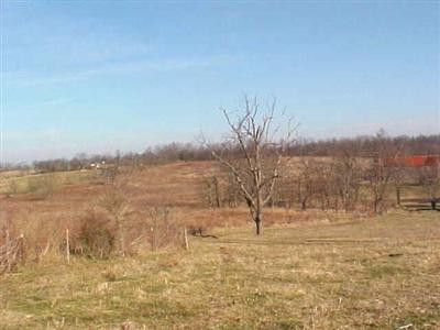 949 Cynthiana Road Paris, KY 40361 - Photo 10 of 11 Hunting field