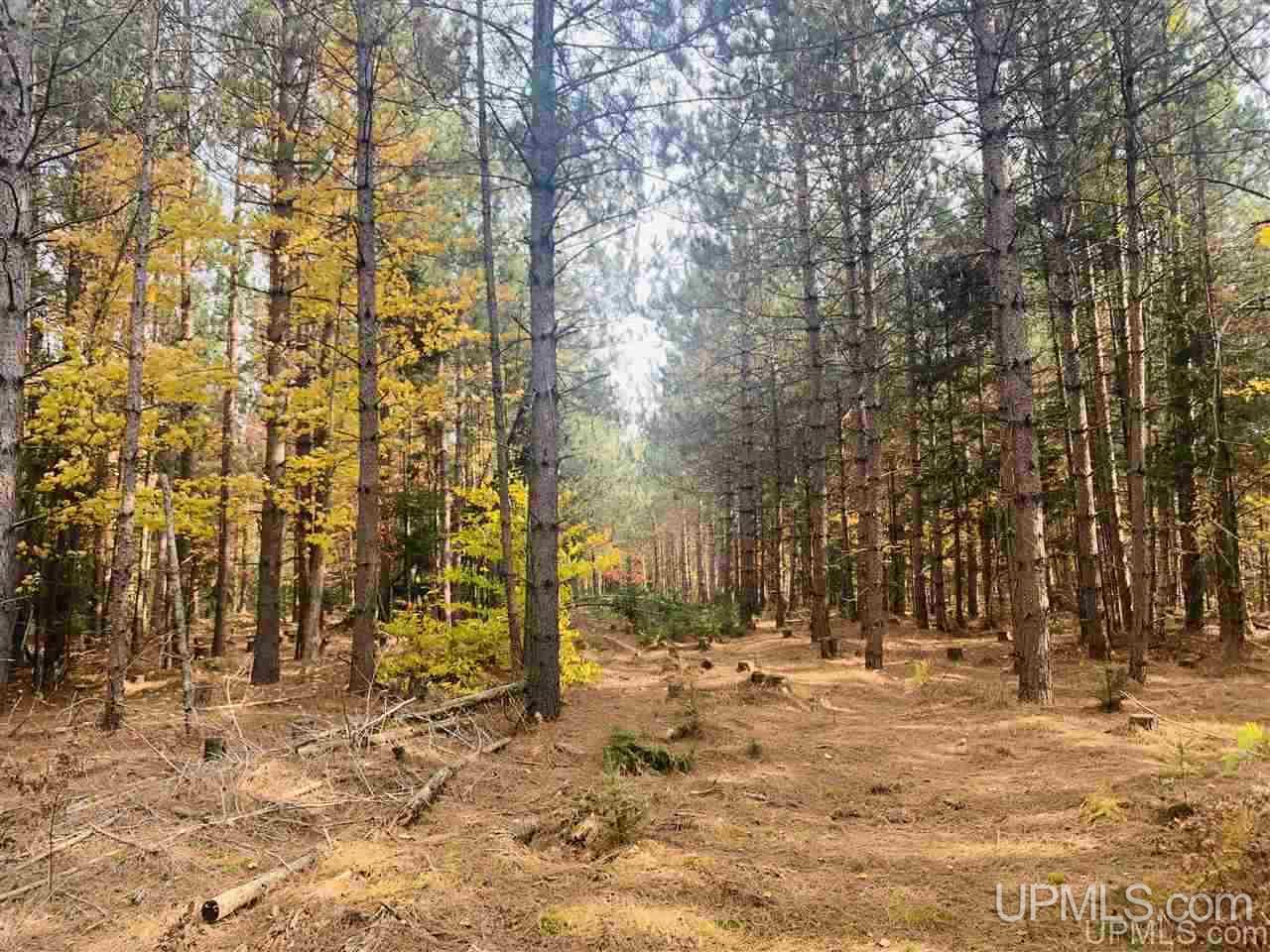 Tbd Off Of Flodin Road Garden, MI 49835 - Photo 10 of 13